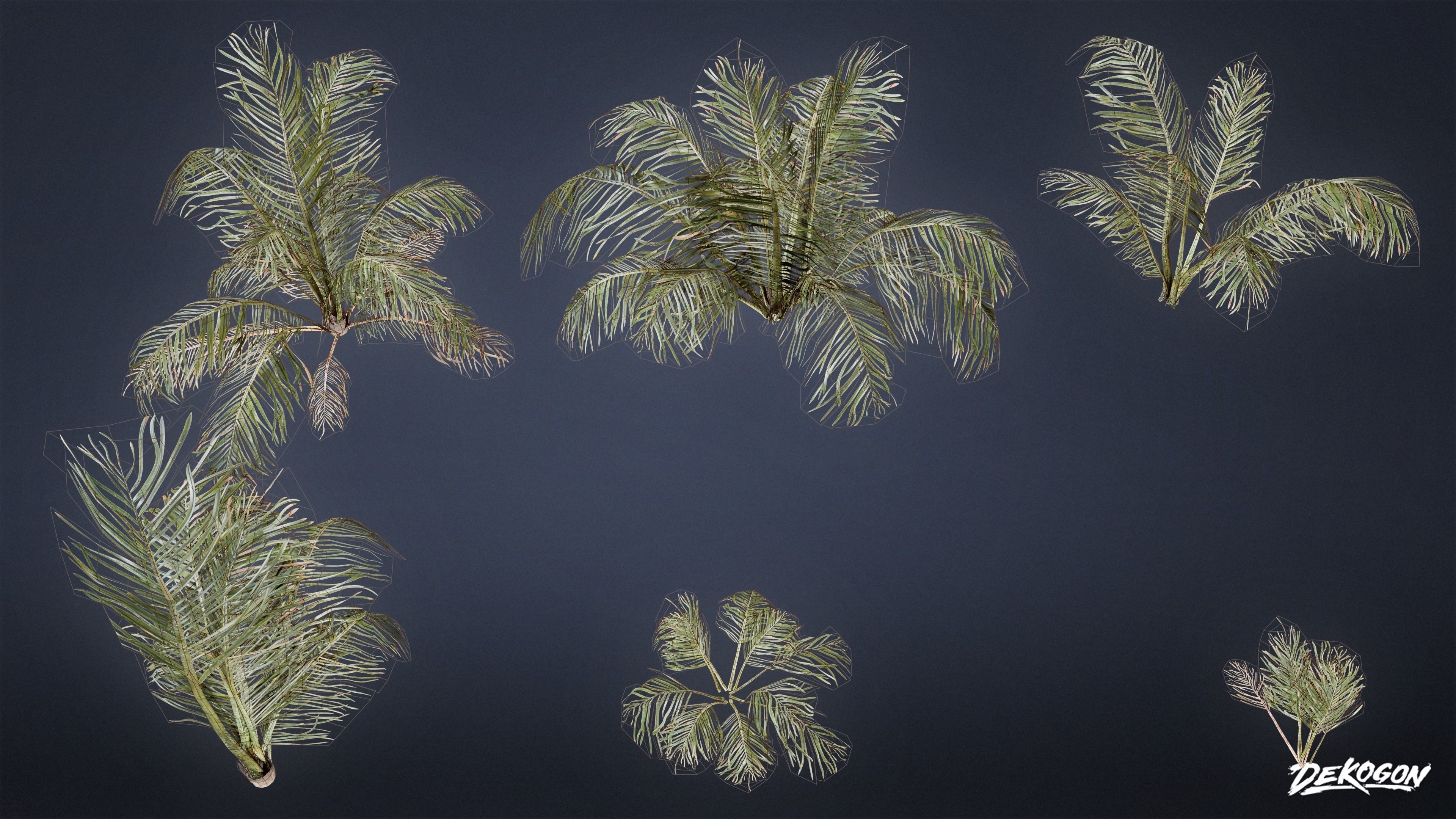 TROPICAL FOLIAGE - Palms 01 - LOW POLY Low-poly 3D model_2