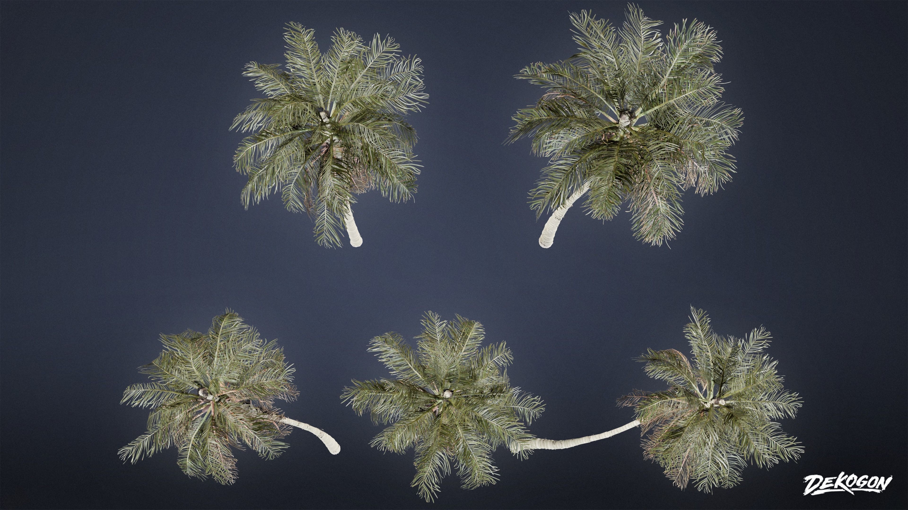 TROPICAL FOLIAGE - Palms 01 - LOW POLY Low-poly 3D model_20