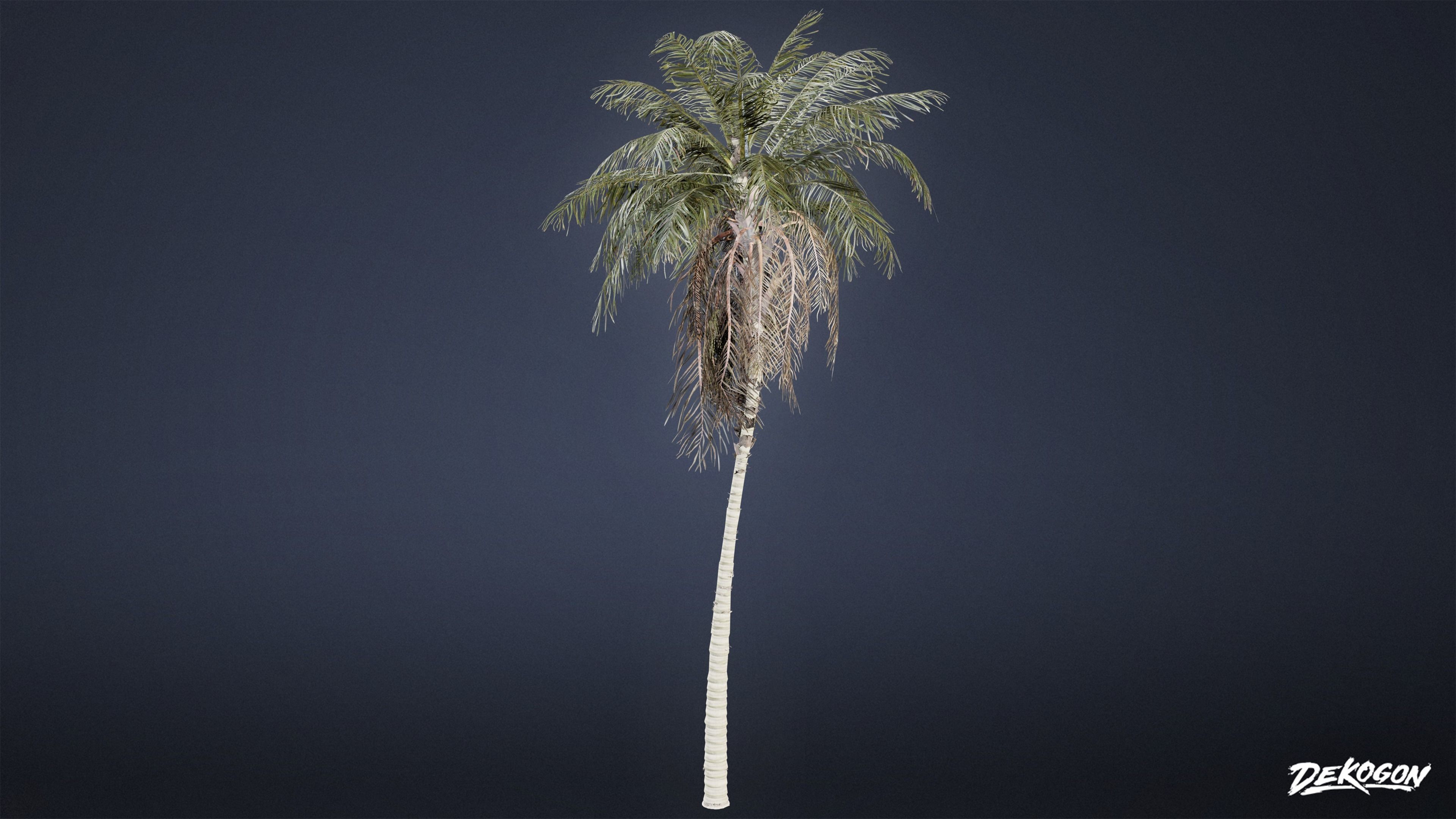TROPICAL FOLIAGE - Palms 01 - LOW POLY Low-poly 3D model_26