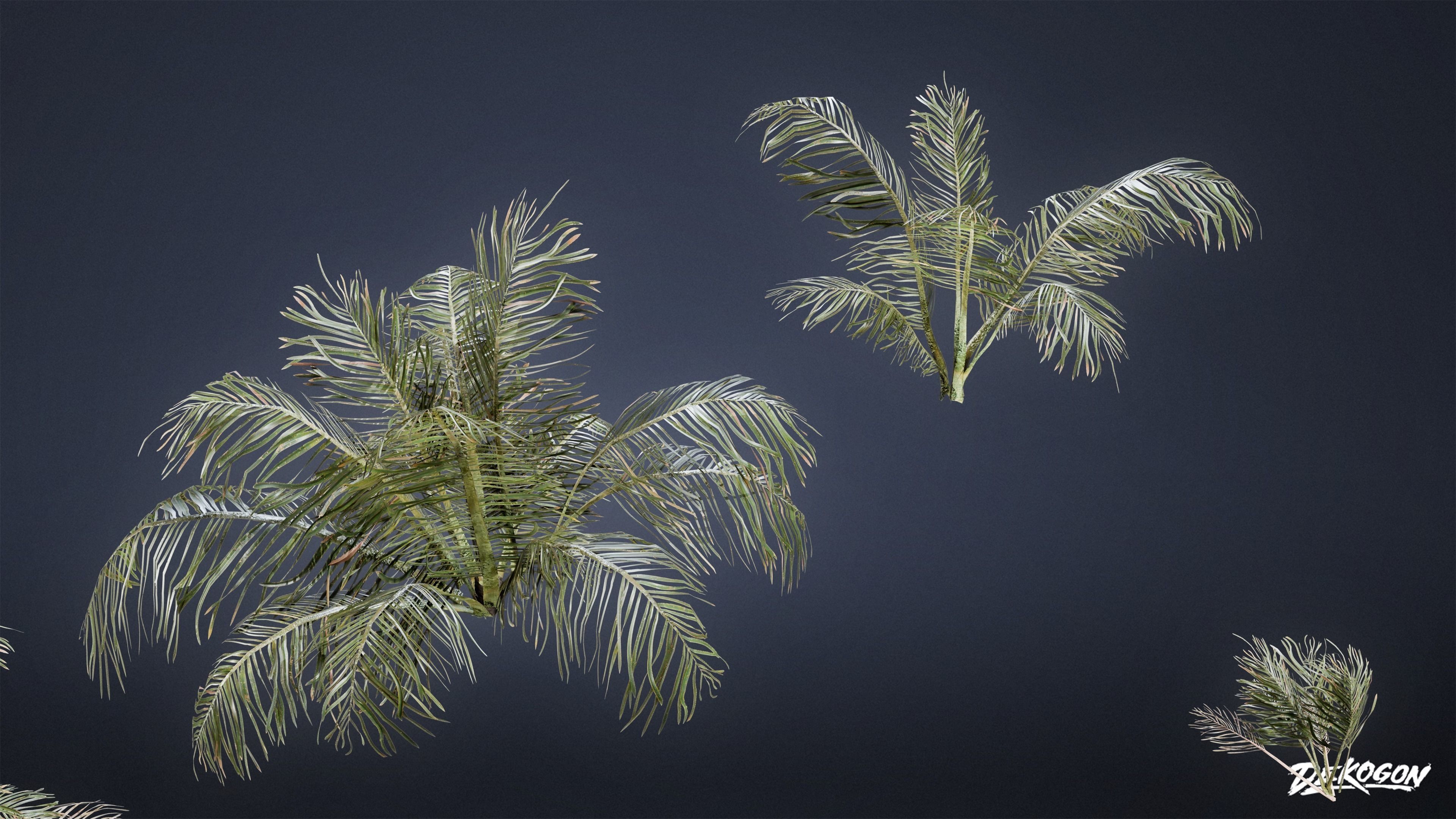 TROPICAL FOLIAGE - Palms 01 - LOW POLY Low-poly 3D model_7