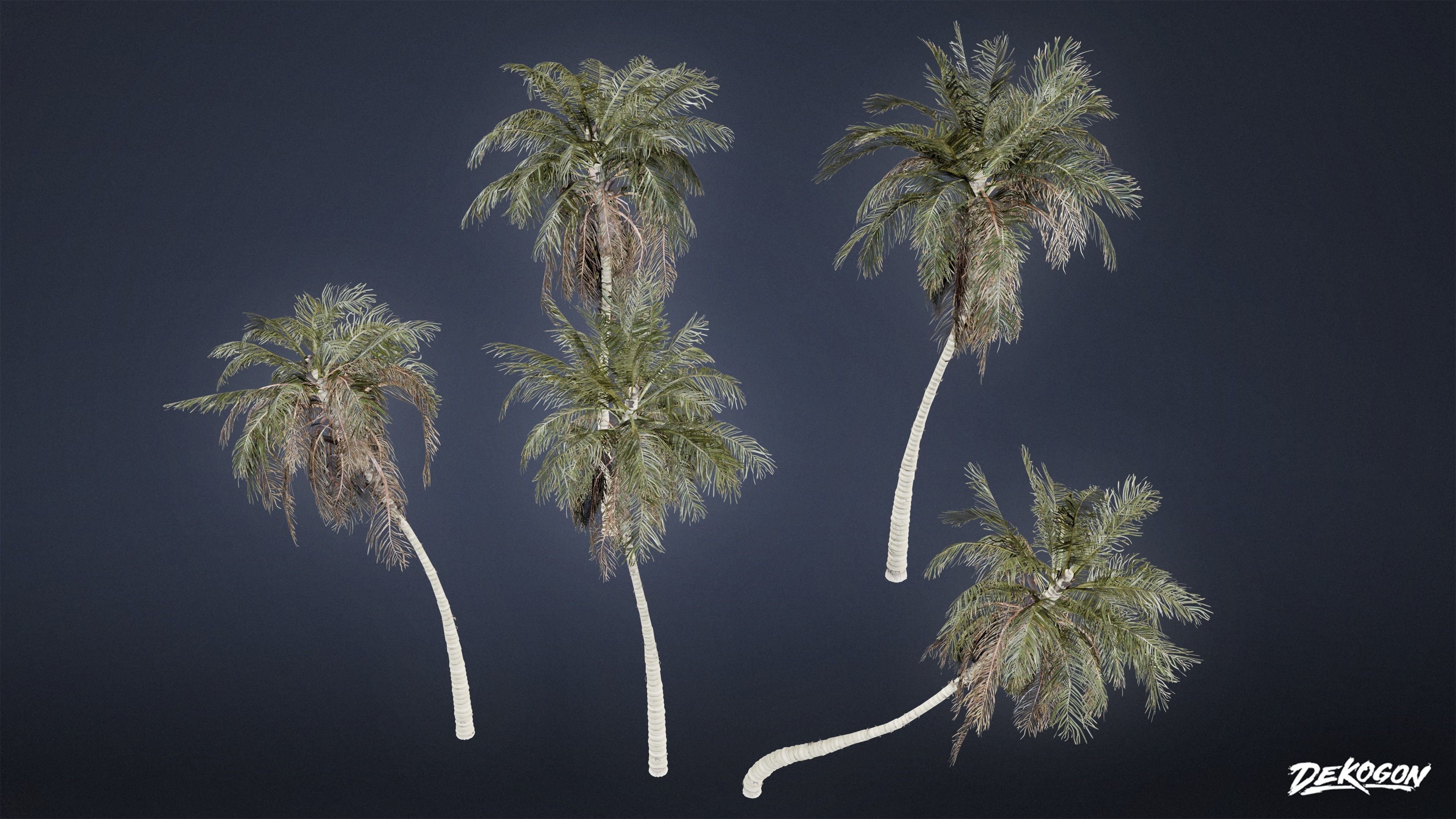 TROPICAL FOLIAGE - Palms 01 - LOW POLY Low-poly 3D model_18