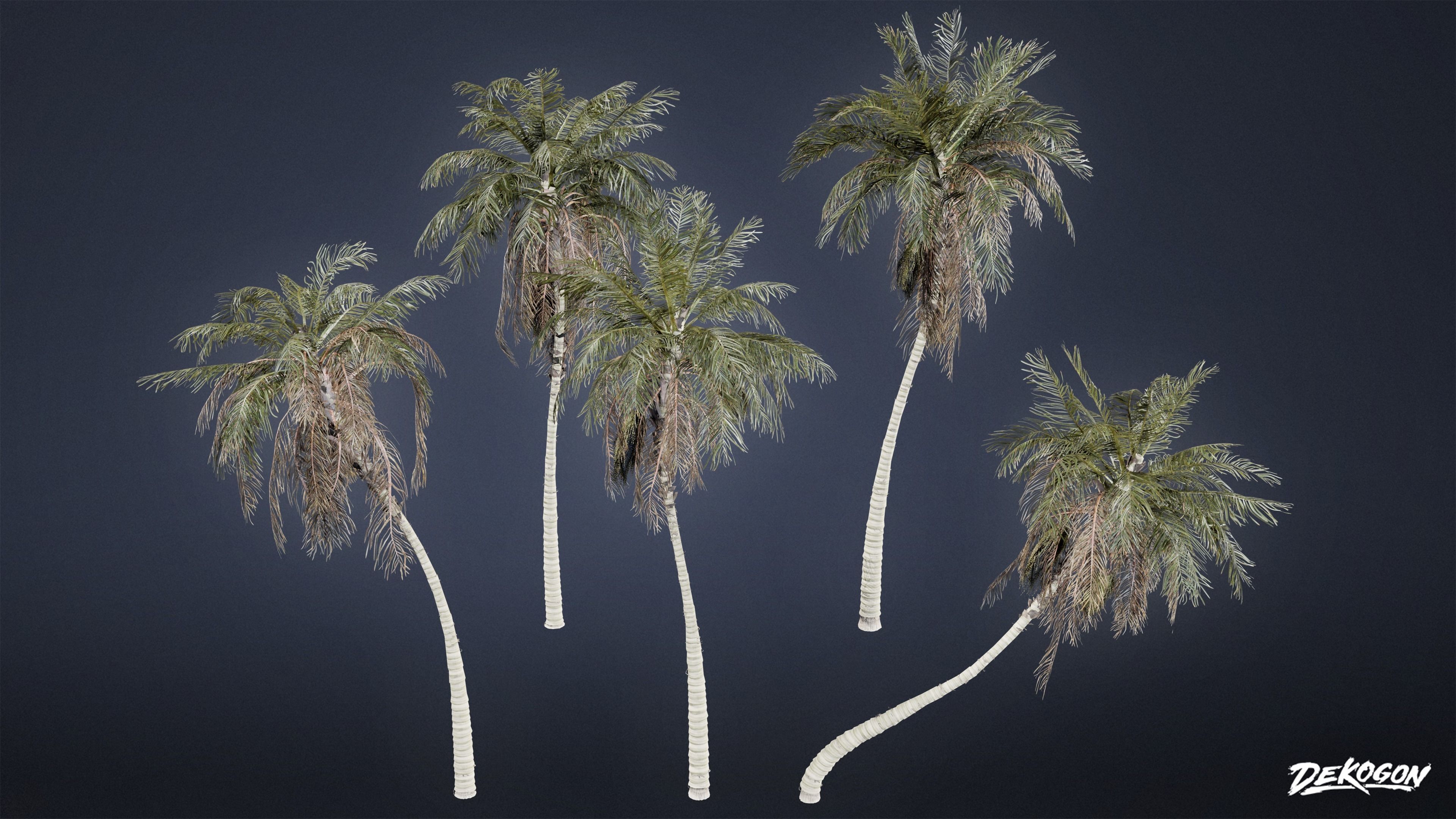 TROPICAL FOLIAGE - Palms 01 - LOW POLY Low-poly 3D model_15