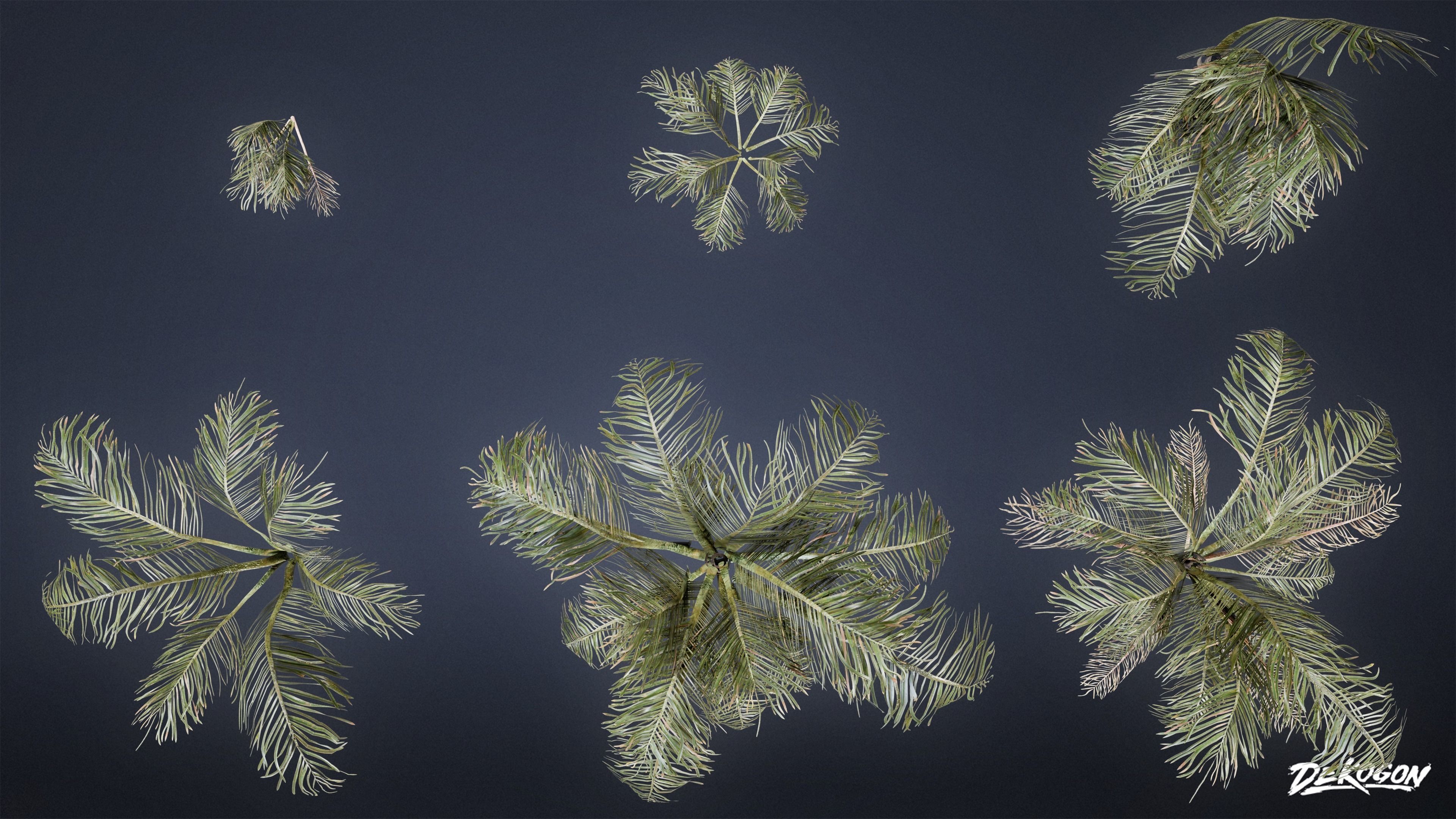 TROPICAL FOLIAGE - Palms 01 - LOW POLY Low-poly 3D model_5