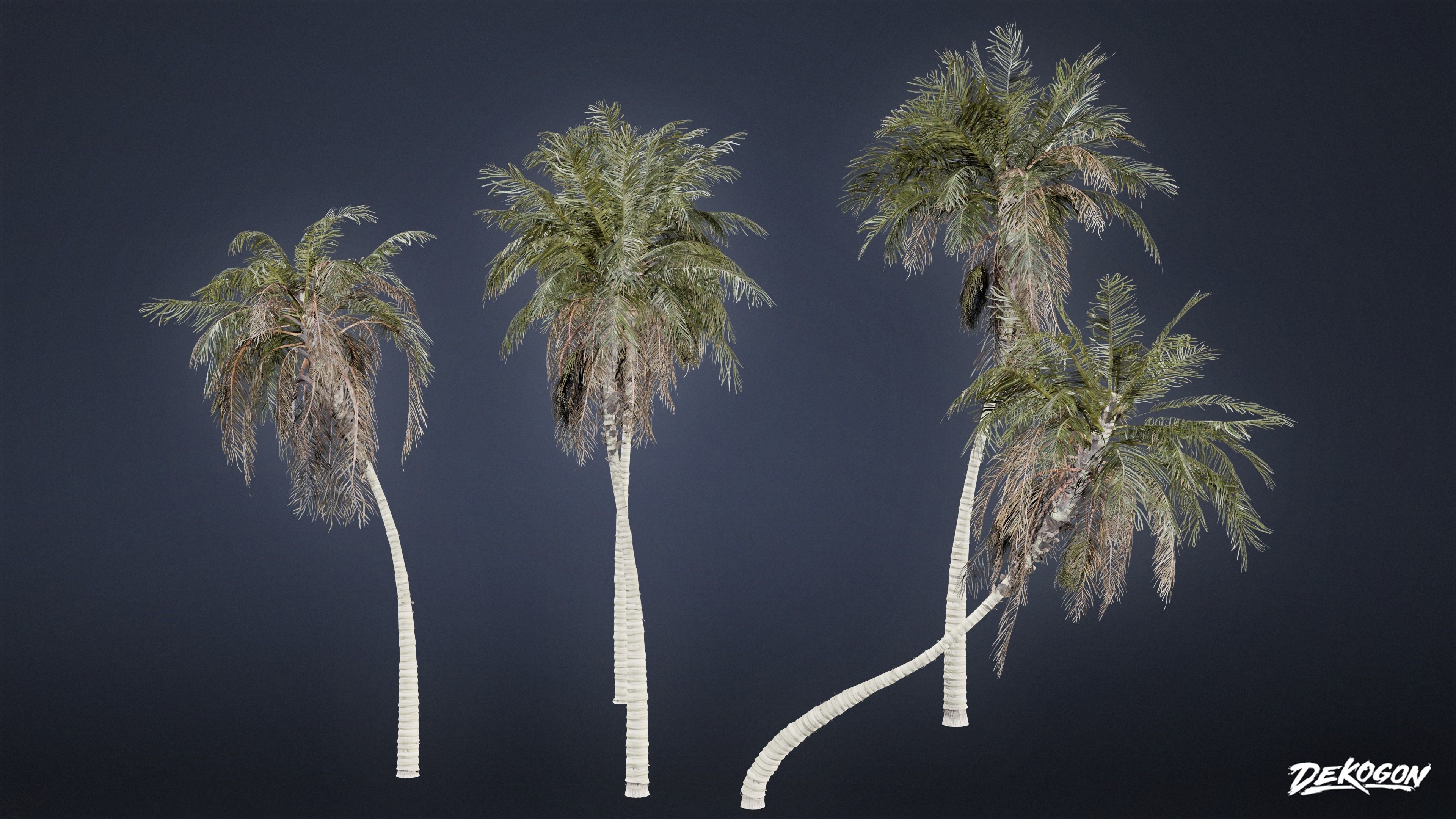 TROPICAL FOLIAGE - Palms 01 - LOW POLY Low-poly 3D model_19