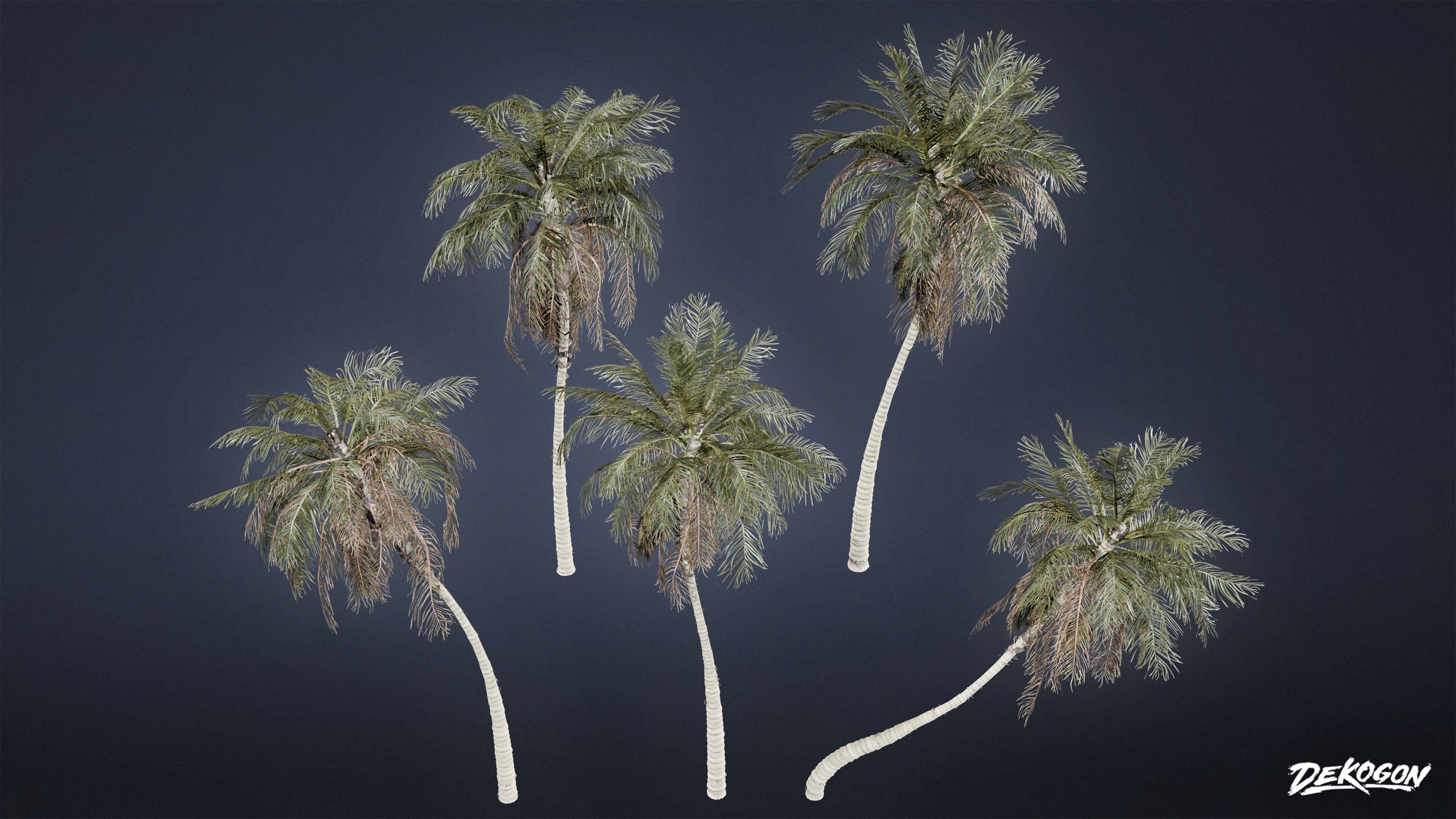 TROPICAL FOLIAGE - Palms 01 - LOW POLY Low-poly 3D model_17