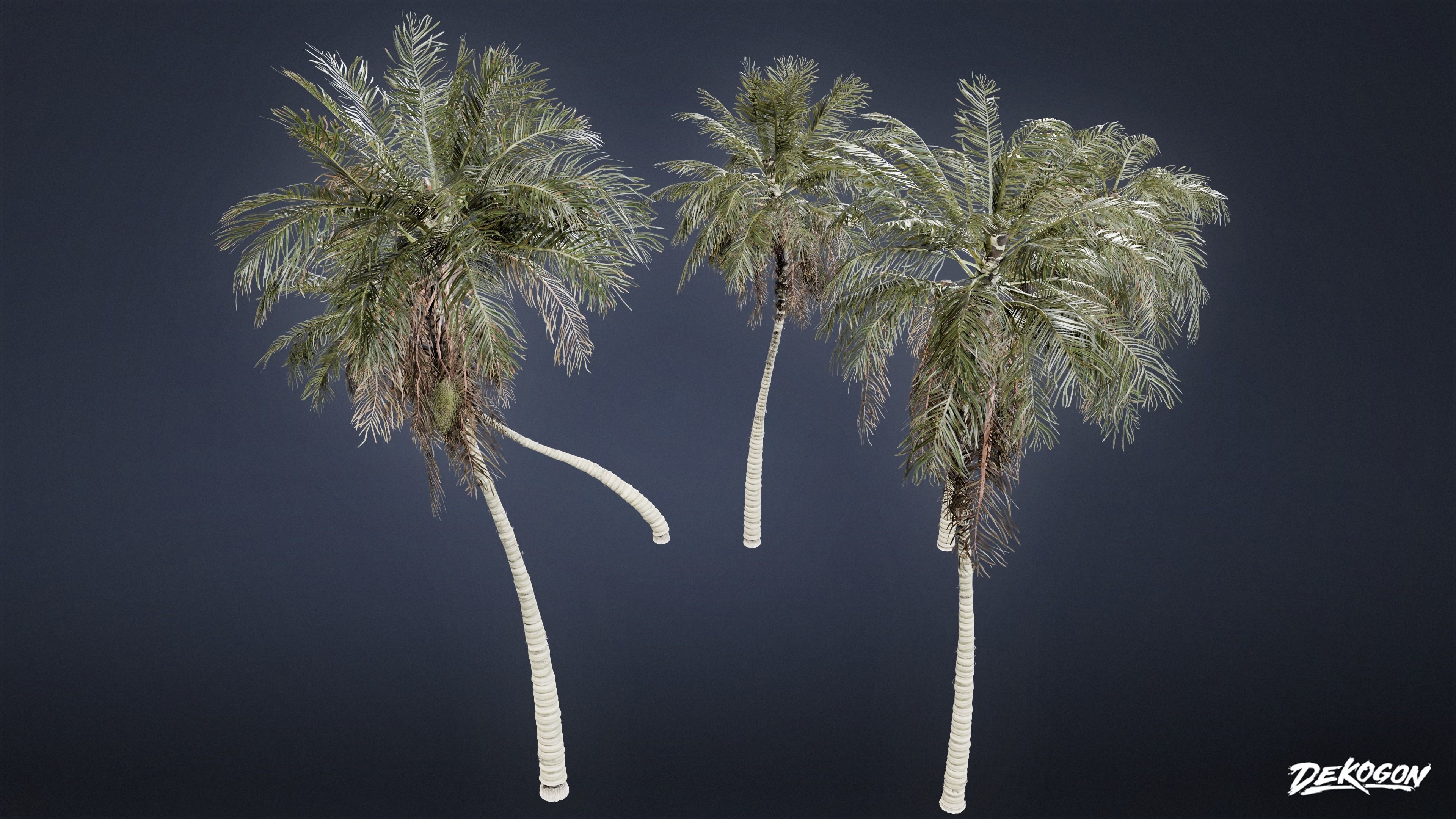 TROPICAL FOLIAGE - Palms 01 - LOW POLY Low-poly 3D model_21