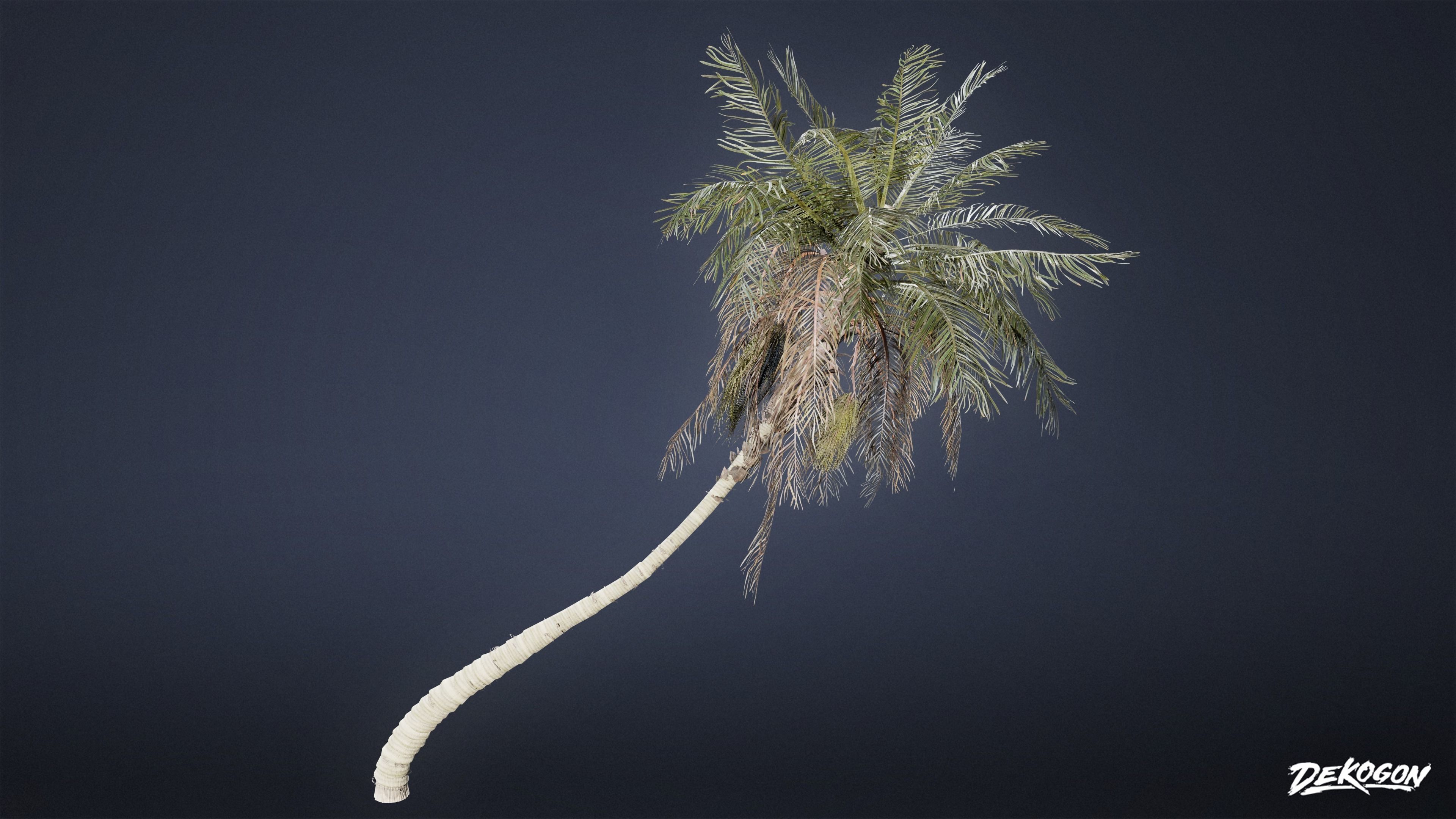 TROPICAL FOLIAGE - Palms 01 - LOW POLY Low-poly 3D model_23