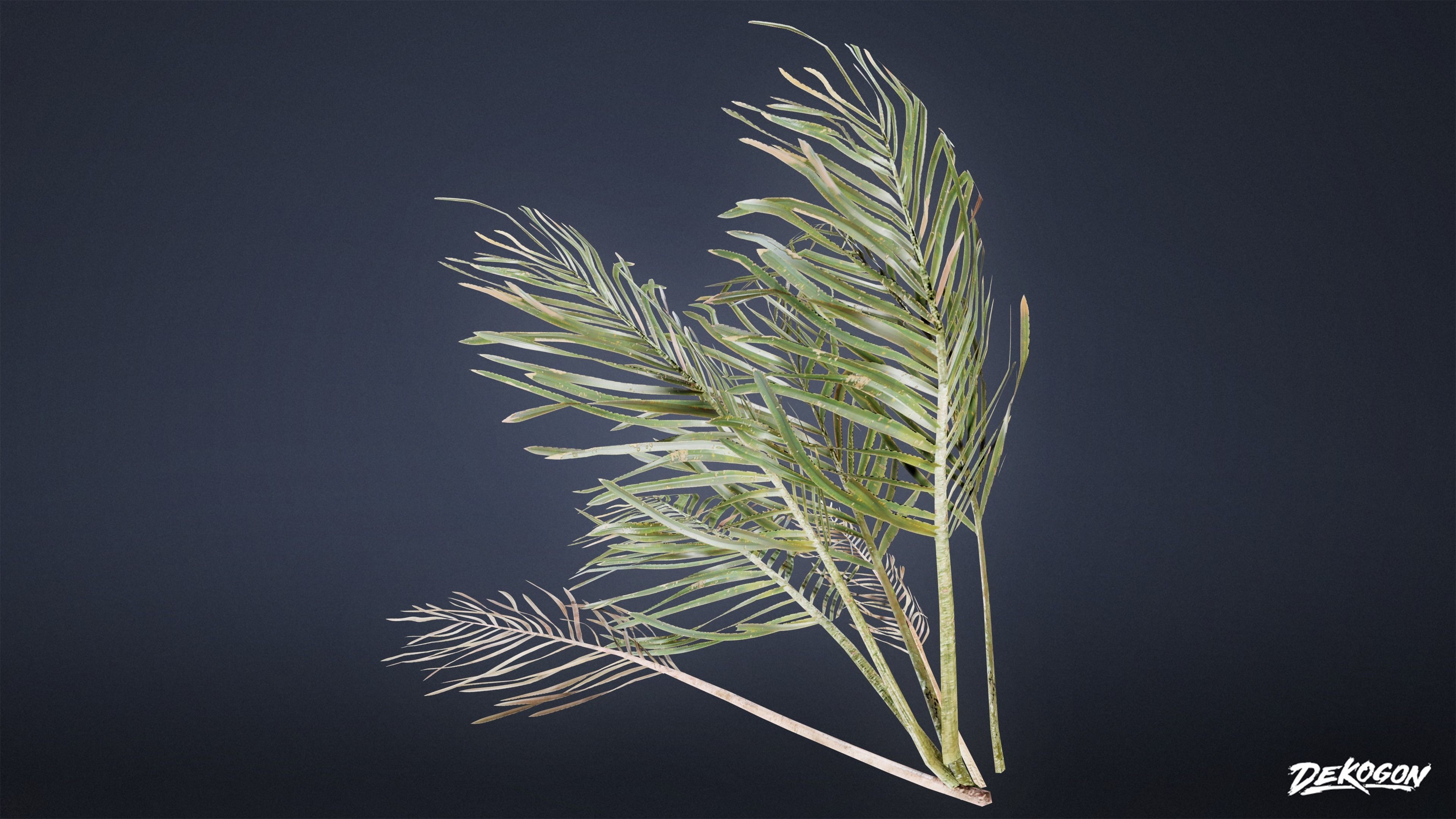 TROPICAL FOLIAGE - Palms 01 - LOW POLY Low-poly 3D model_14