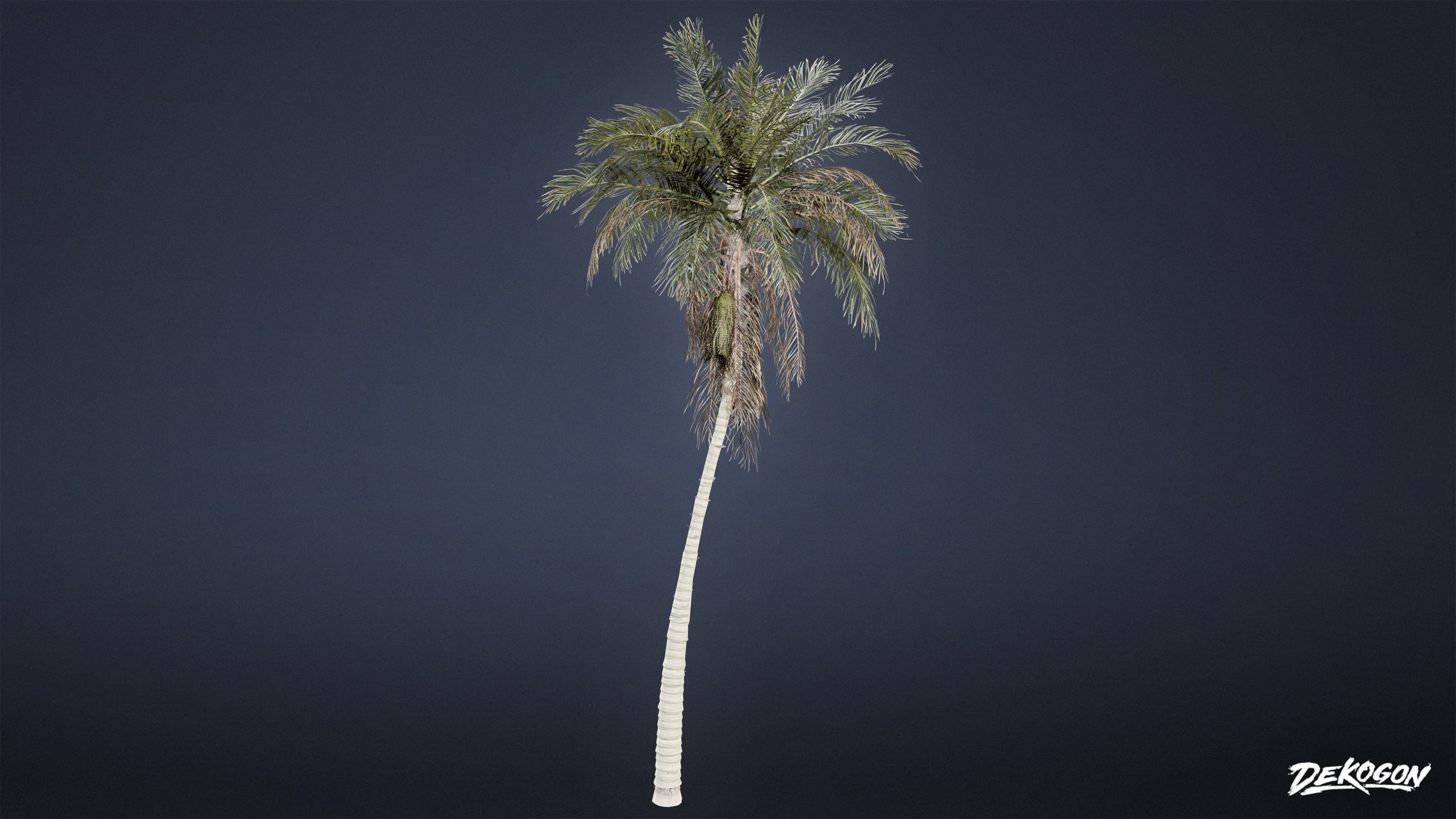 TROPICAL FOLIAGE - Palms 01 - LOW POLY Low-poly 3D model_25