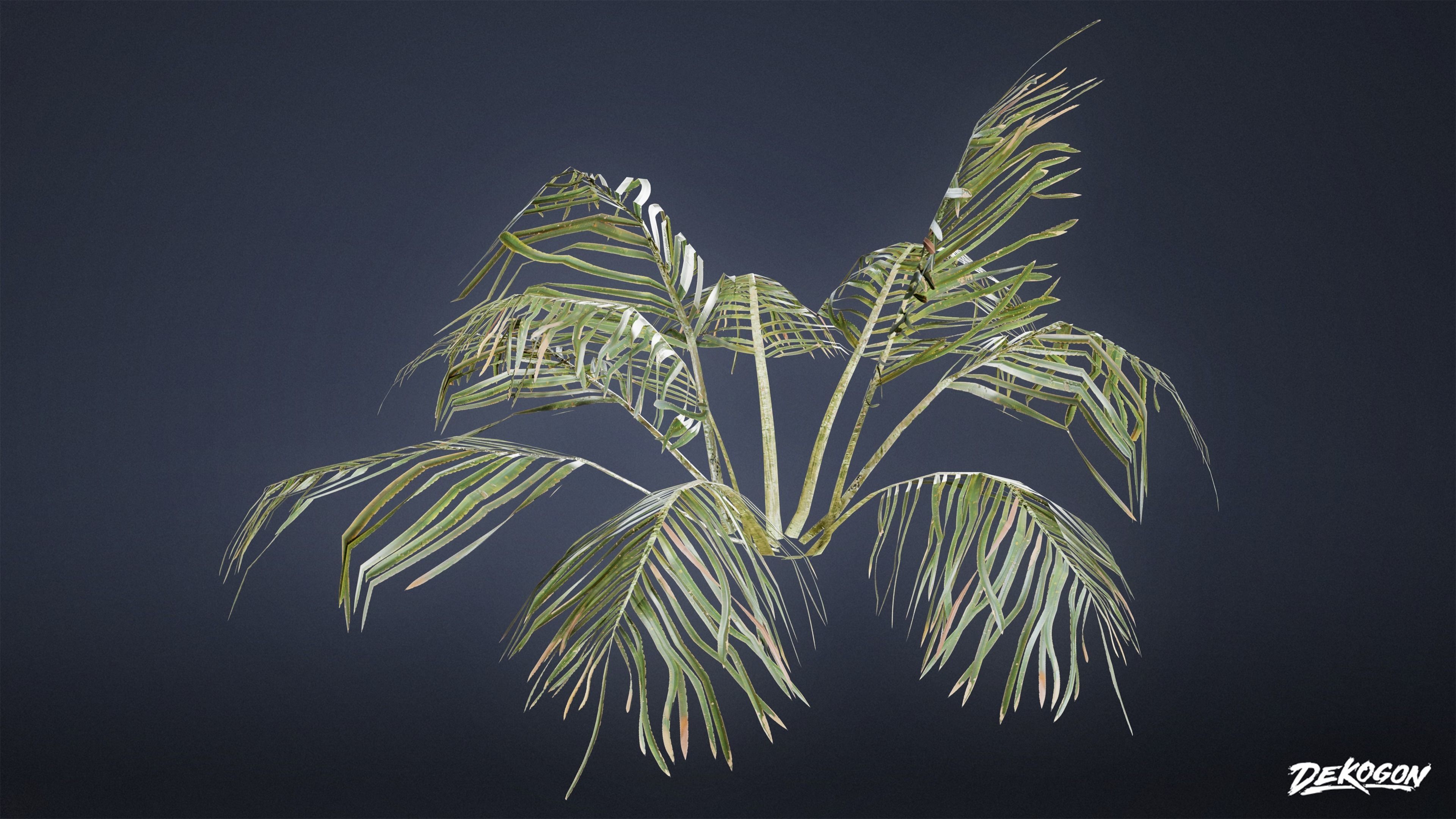 TROPICAL FOLIAGE - Palms 01 - LOW POLY Low-poly 3D model_13