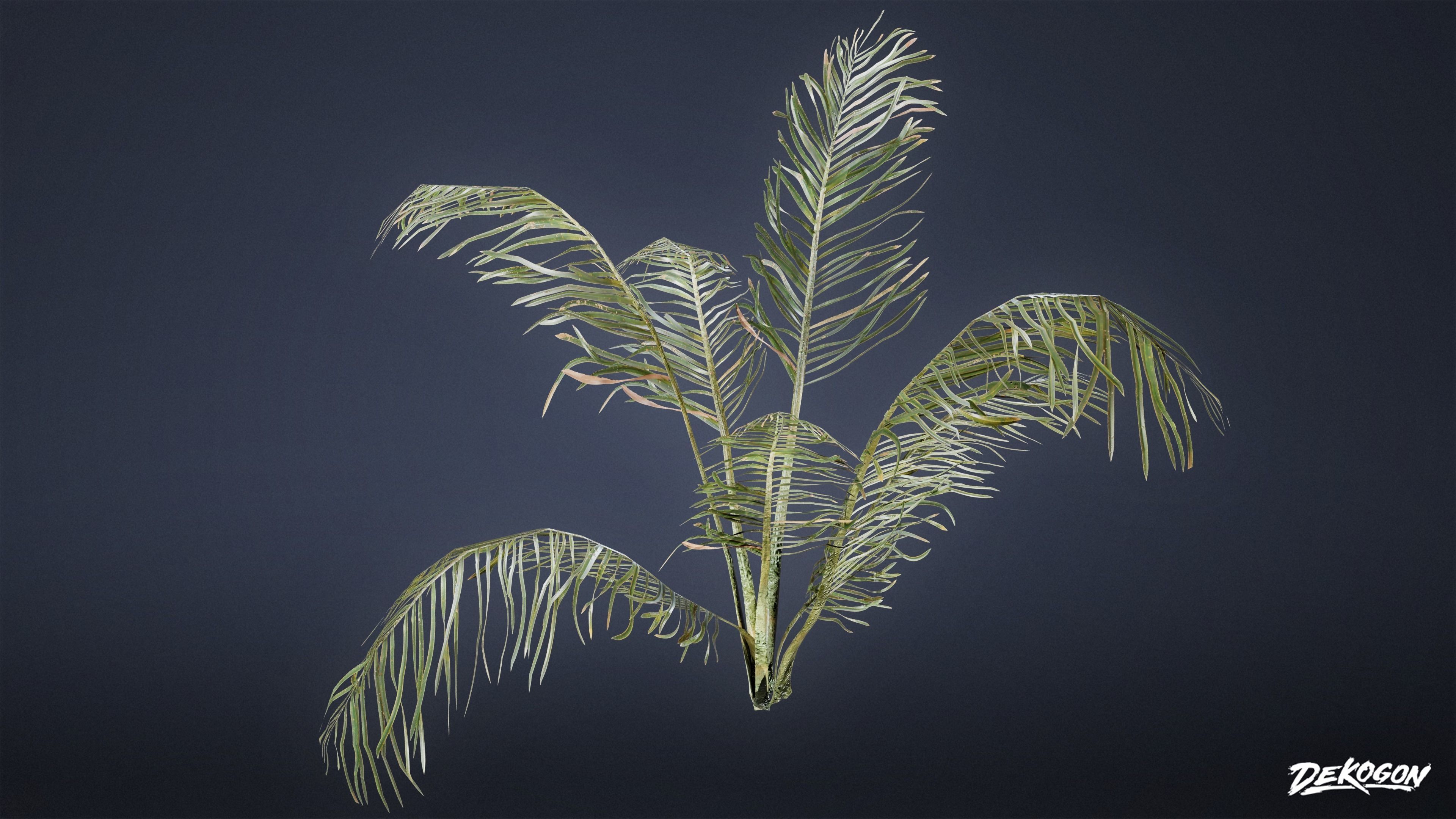 TROPICAL FOLIAGE - Palms 01 - LOW POLY Low-poly 3D model_9