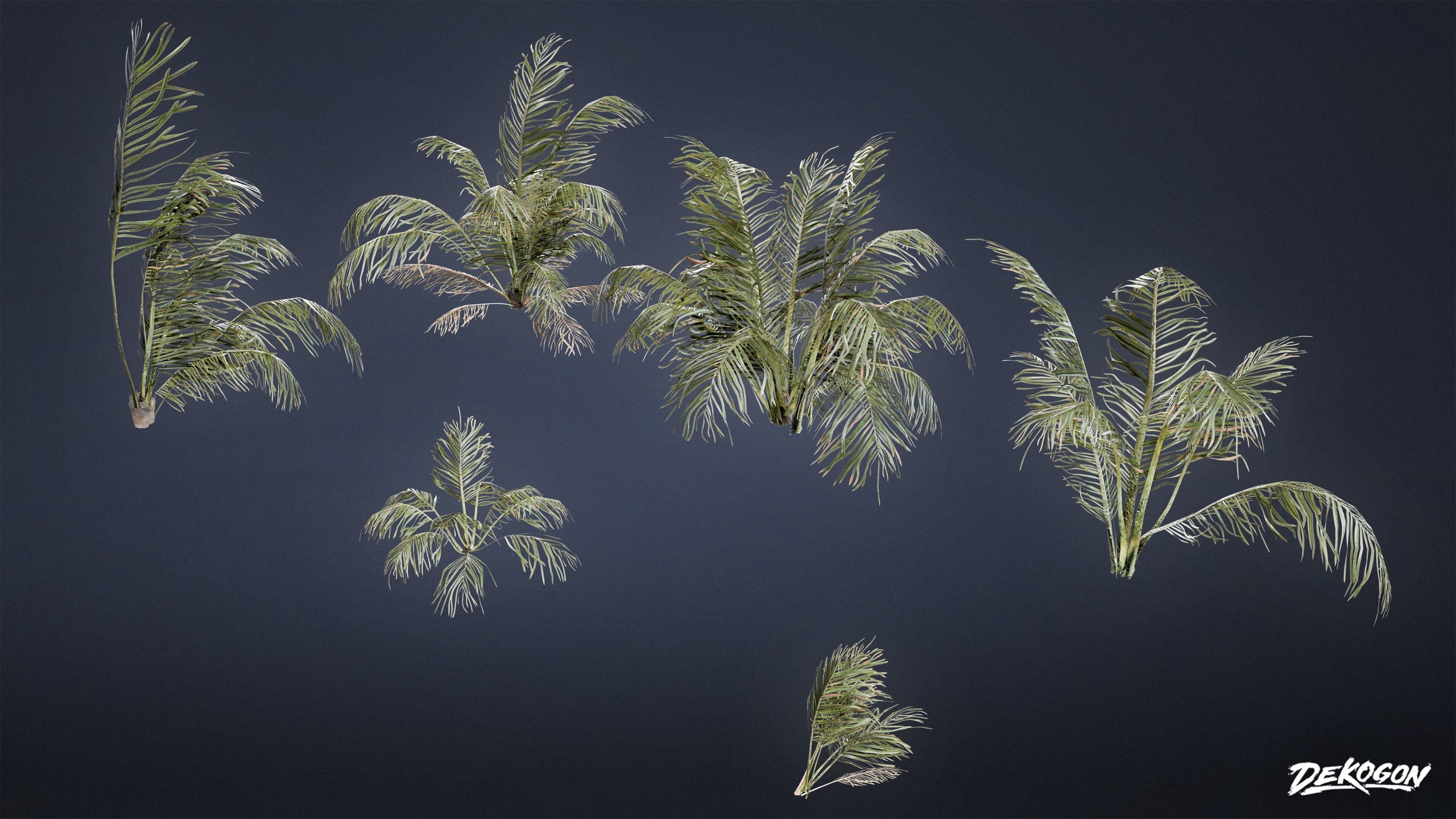 TROPICAL FOLIAGE - Palms 01 - LOW POLY Low-poly 3D model_8