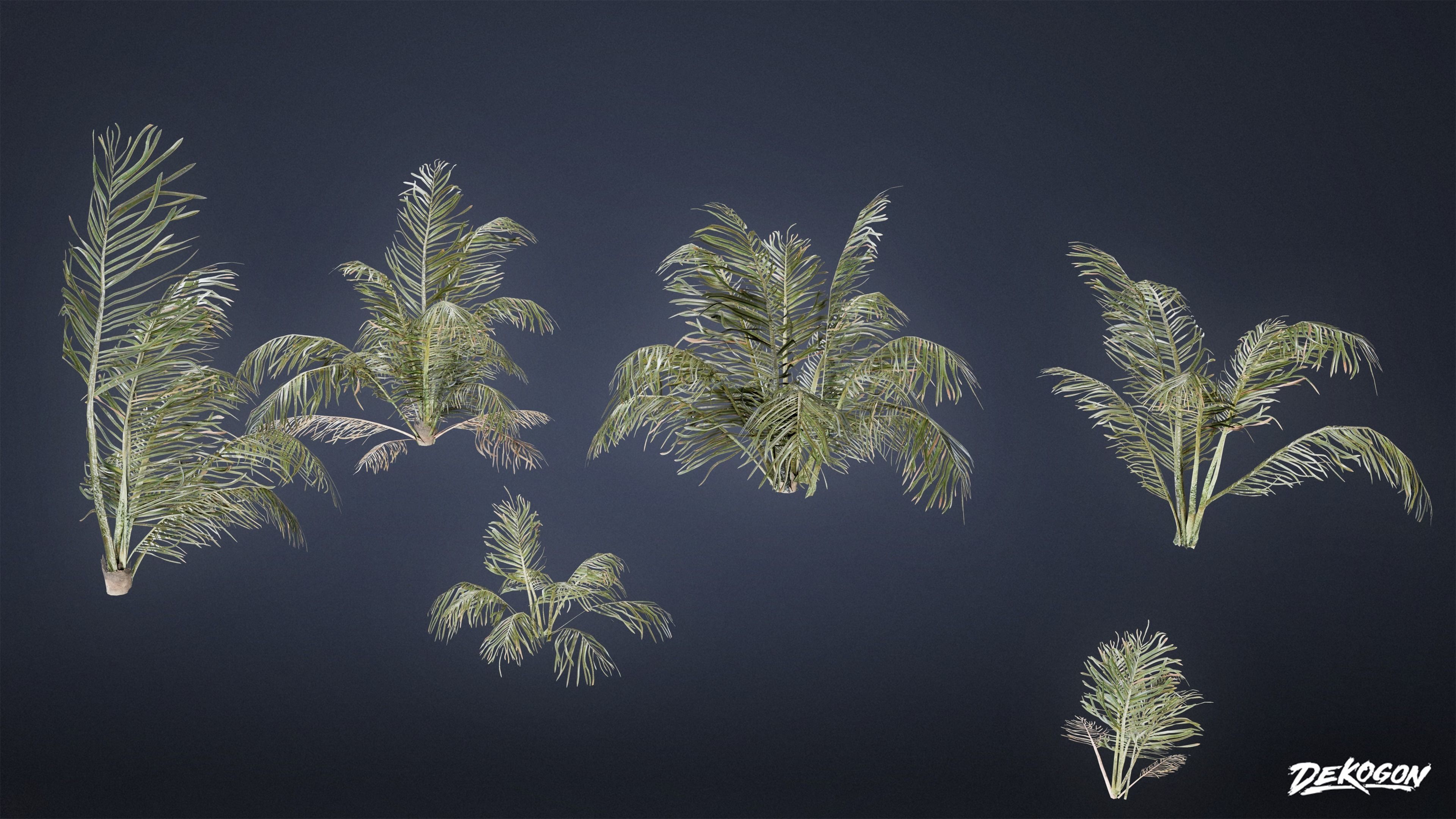 TROPICAL FOLIAGE - Palms 01 - LOW POLY Low-poly 3D model_3