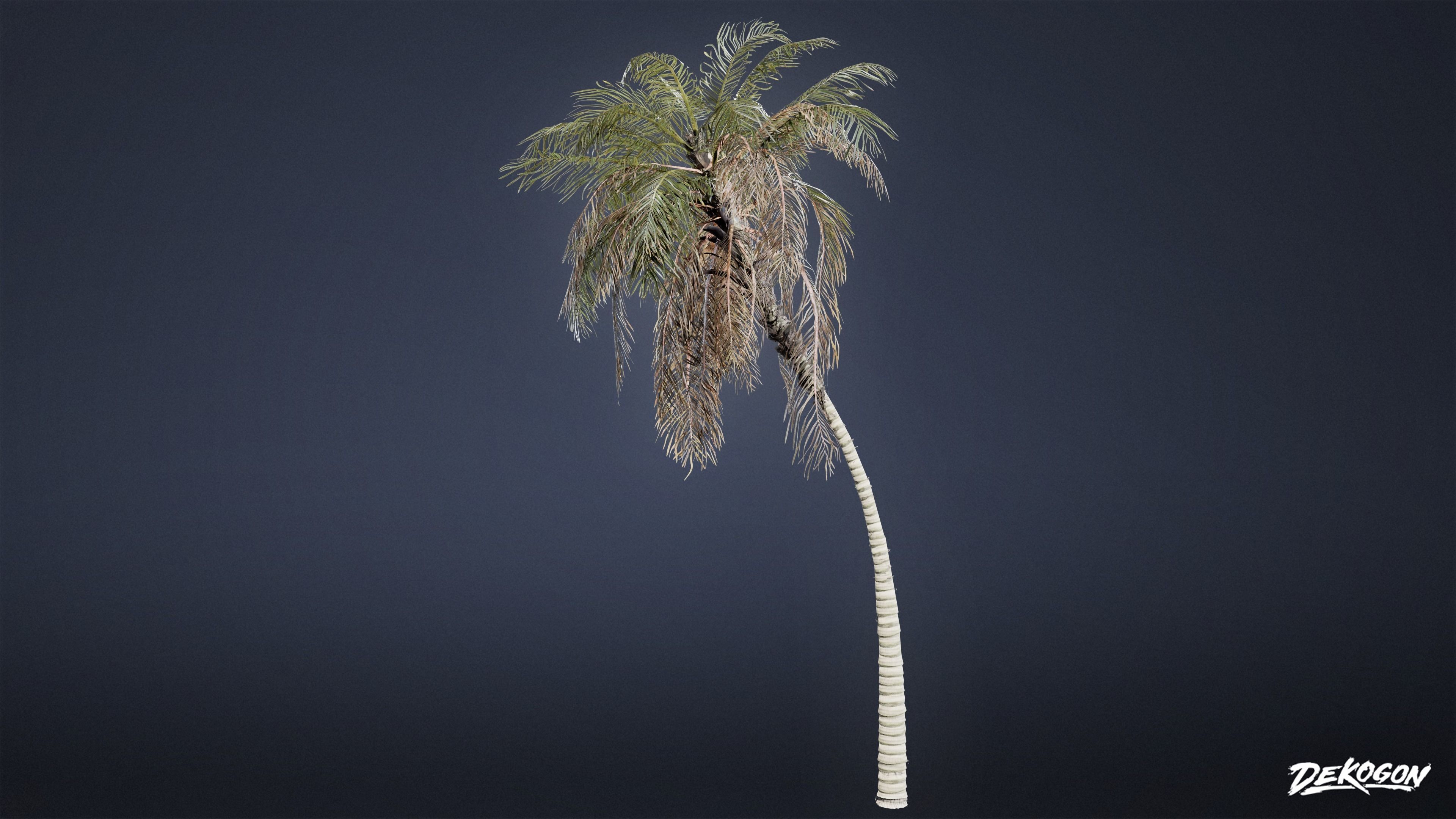 TROPICAL FOLIAGE - Palms 01 - LOW POLY Low-poly 3D model_27