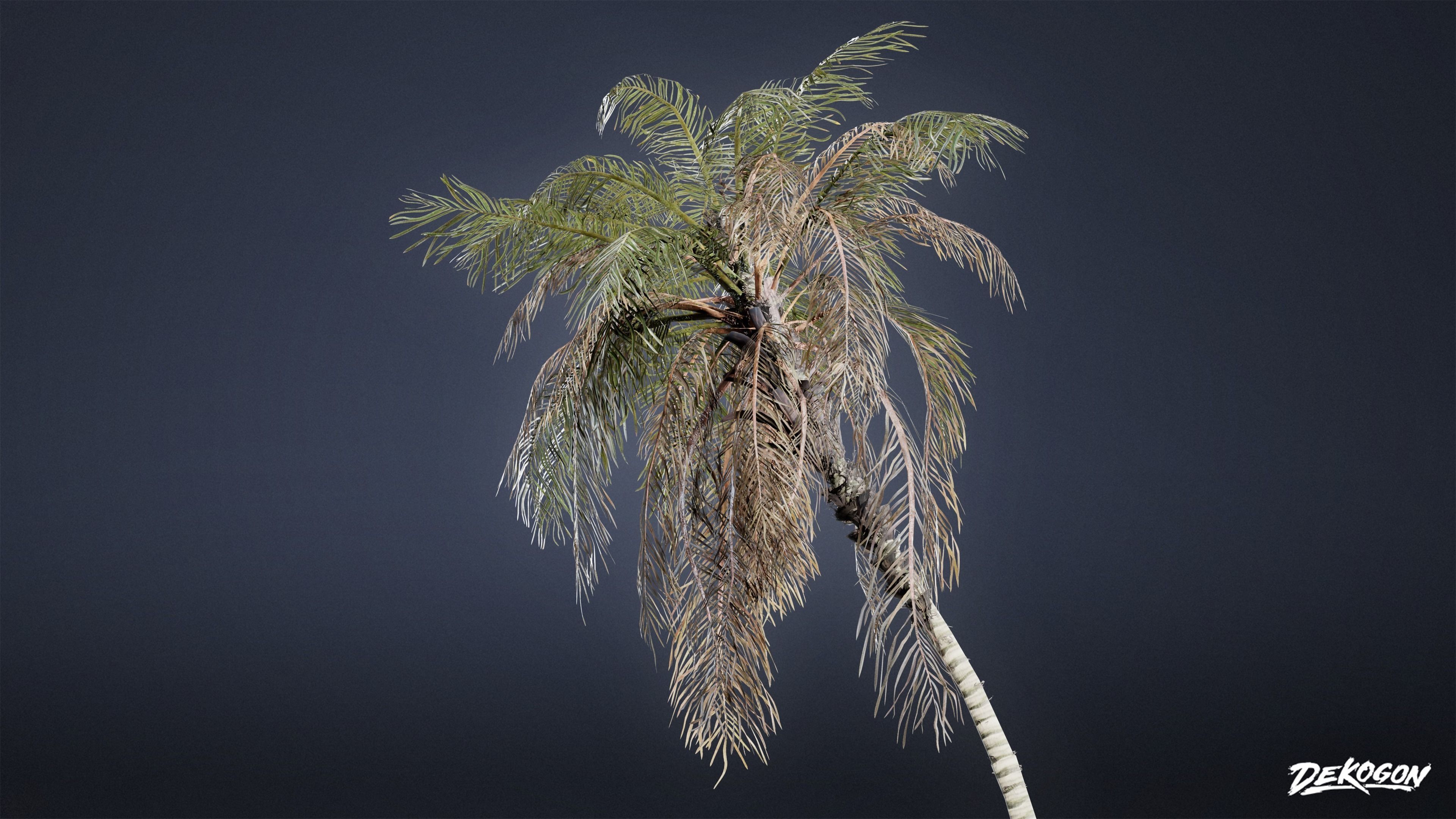 TROPICAL FOLIAGE - Palms 01 - LOW POLY Low-poly 3D model_28