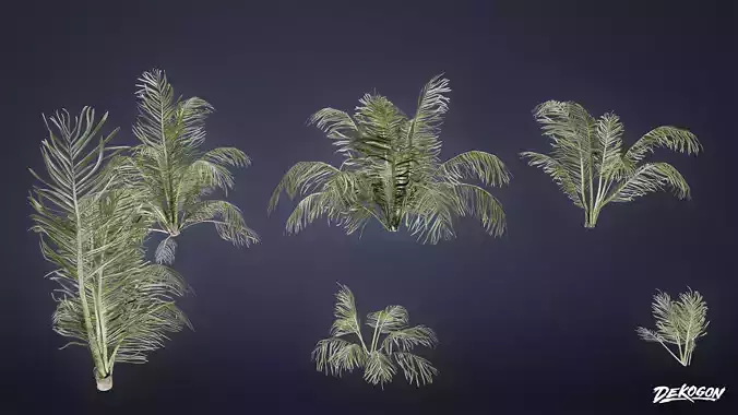TROPICAL FOLIAGE - Palms 01 - LOW POLY