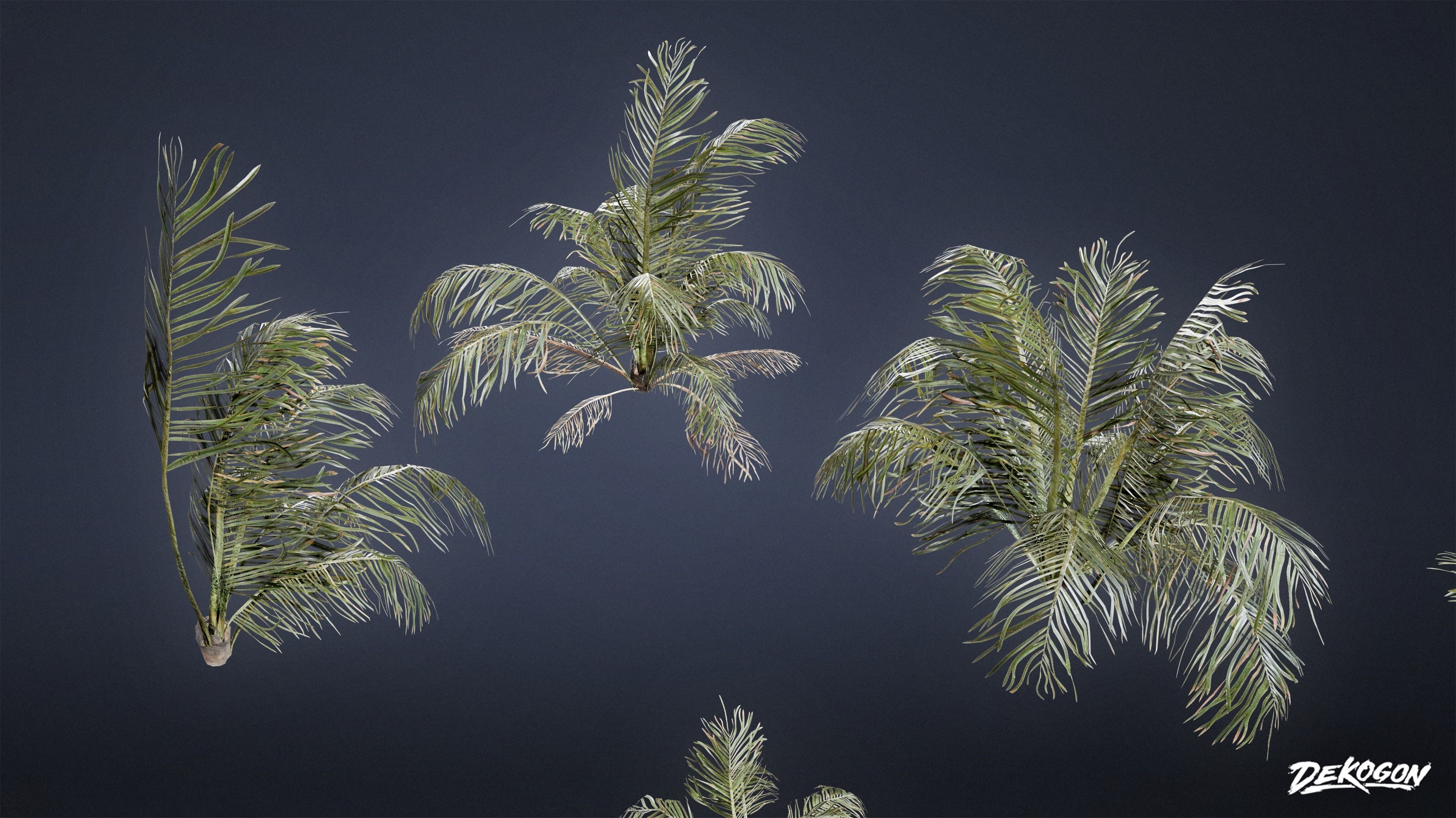 TROPICAL FOLIAGE - Palms 01 - LOW POLY Low-poly 3D model_6