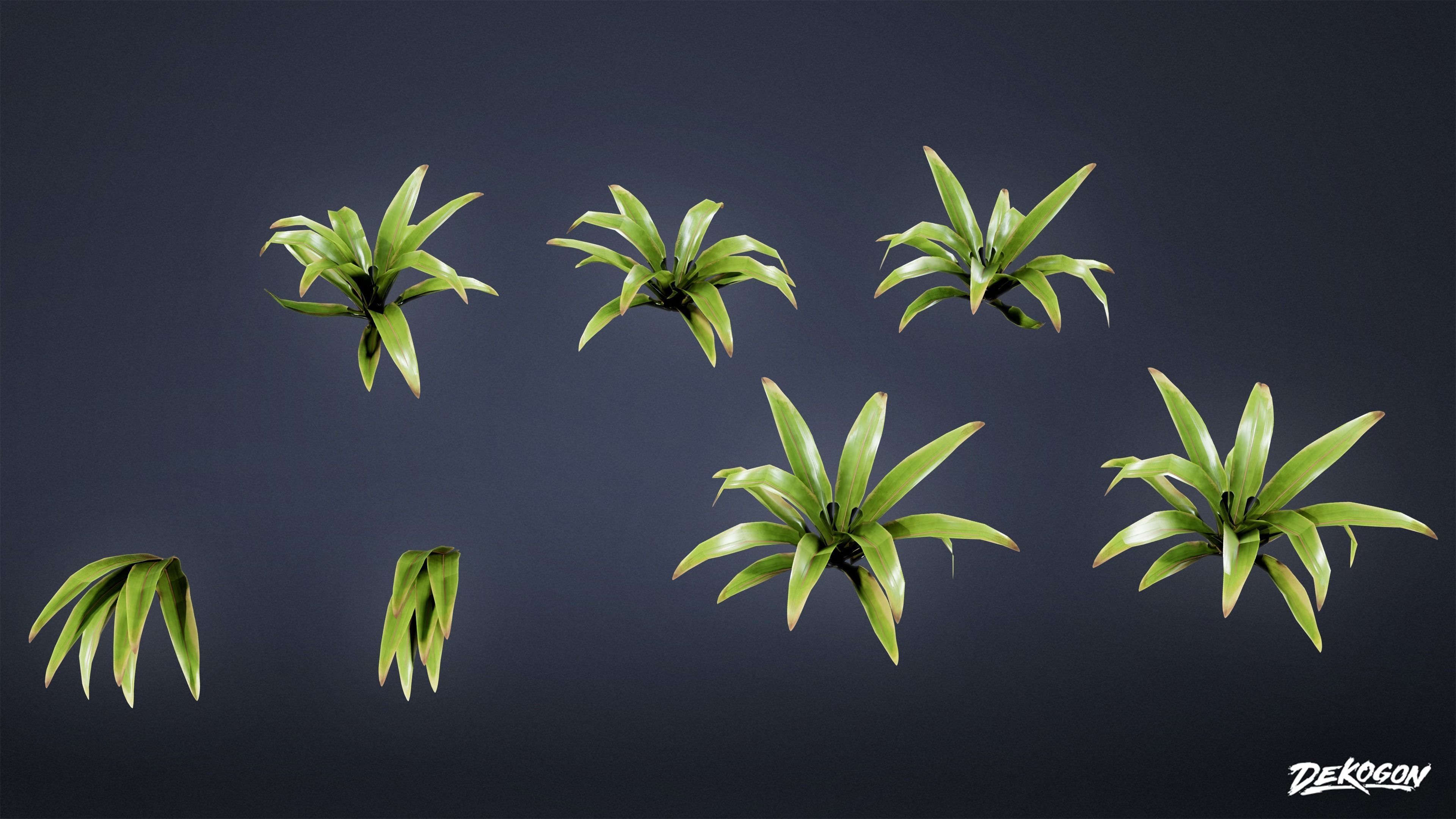TROPICAL FOLIAGE - Small Plants 01 - LOW POLY Low-poly 3D model_22