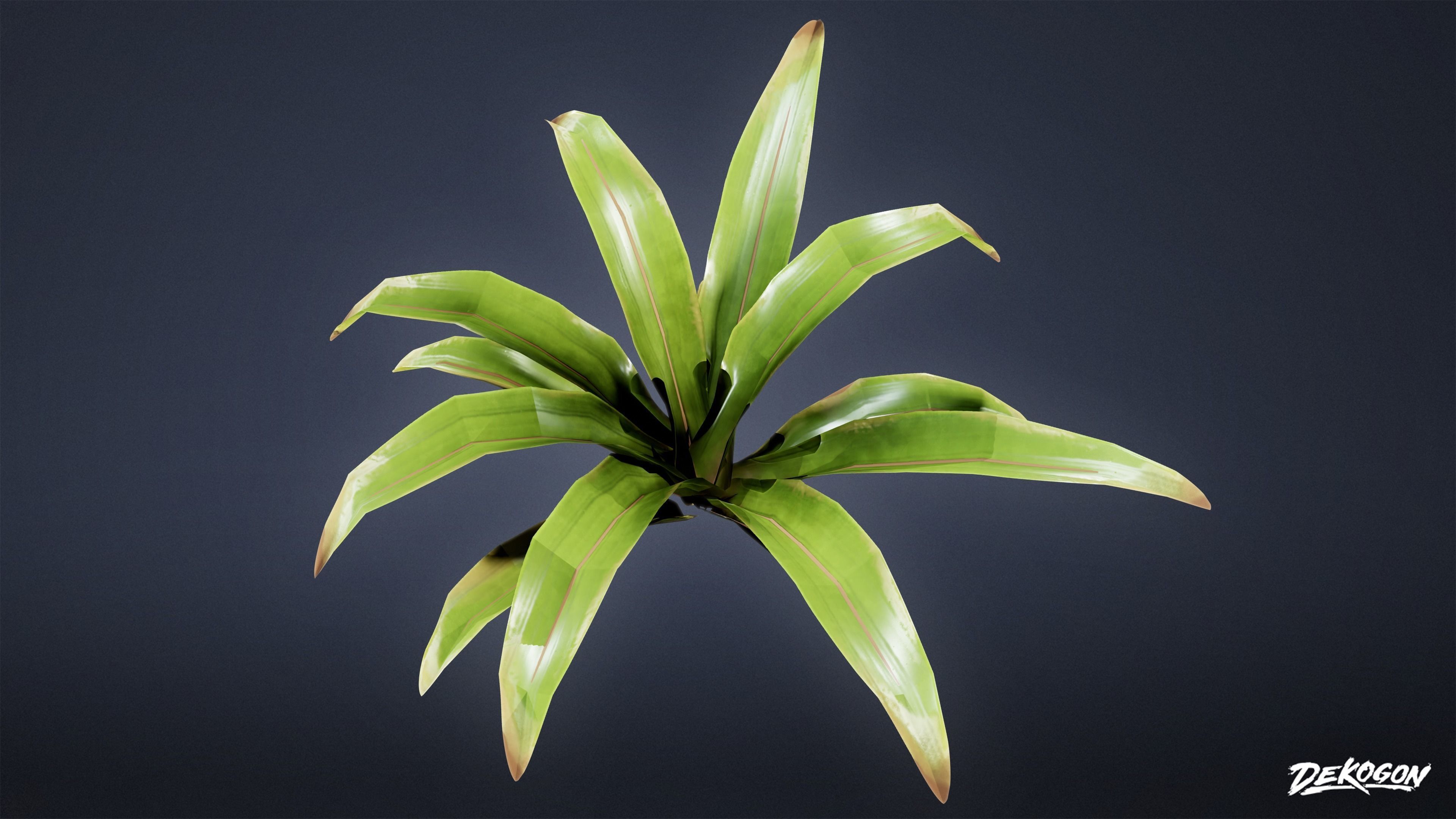 TROPICAL FOLIAGE - Small Plants 01 - LOW POLY Low-poly 3D model_26