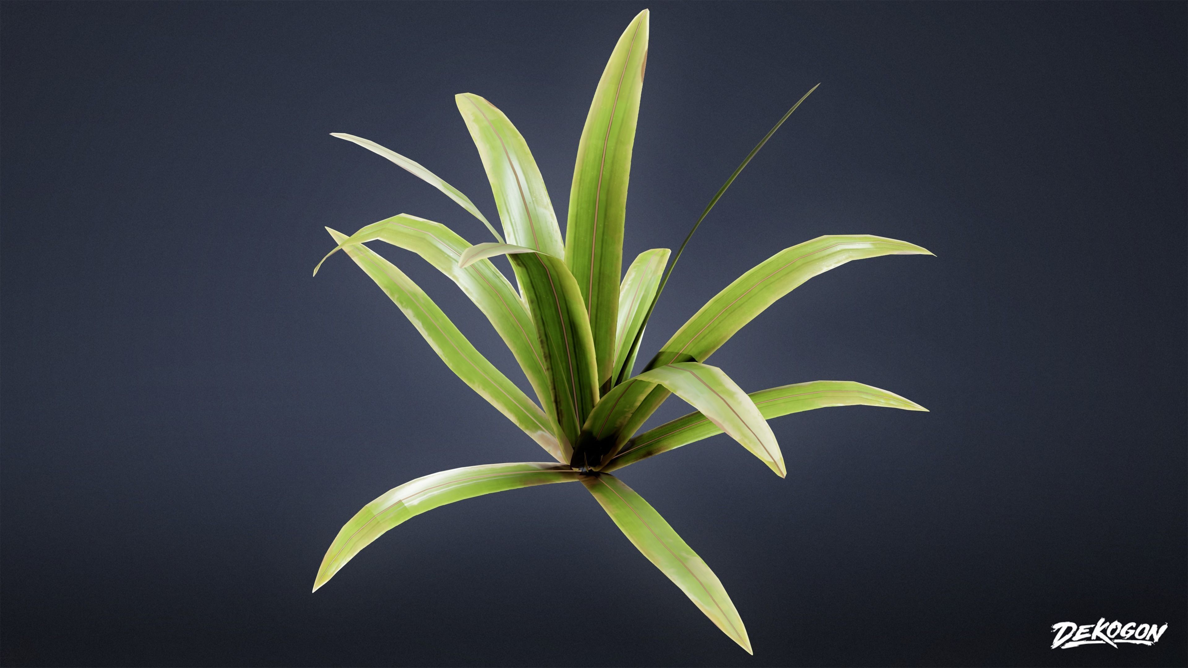 TROPICAL FOLIAGE - Small Plants 01 - LOW POLY Low-poly 3D model_15