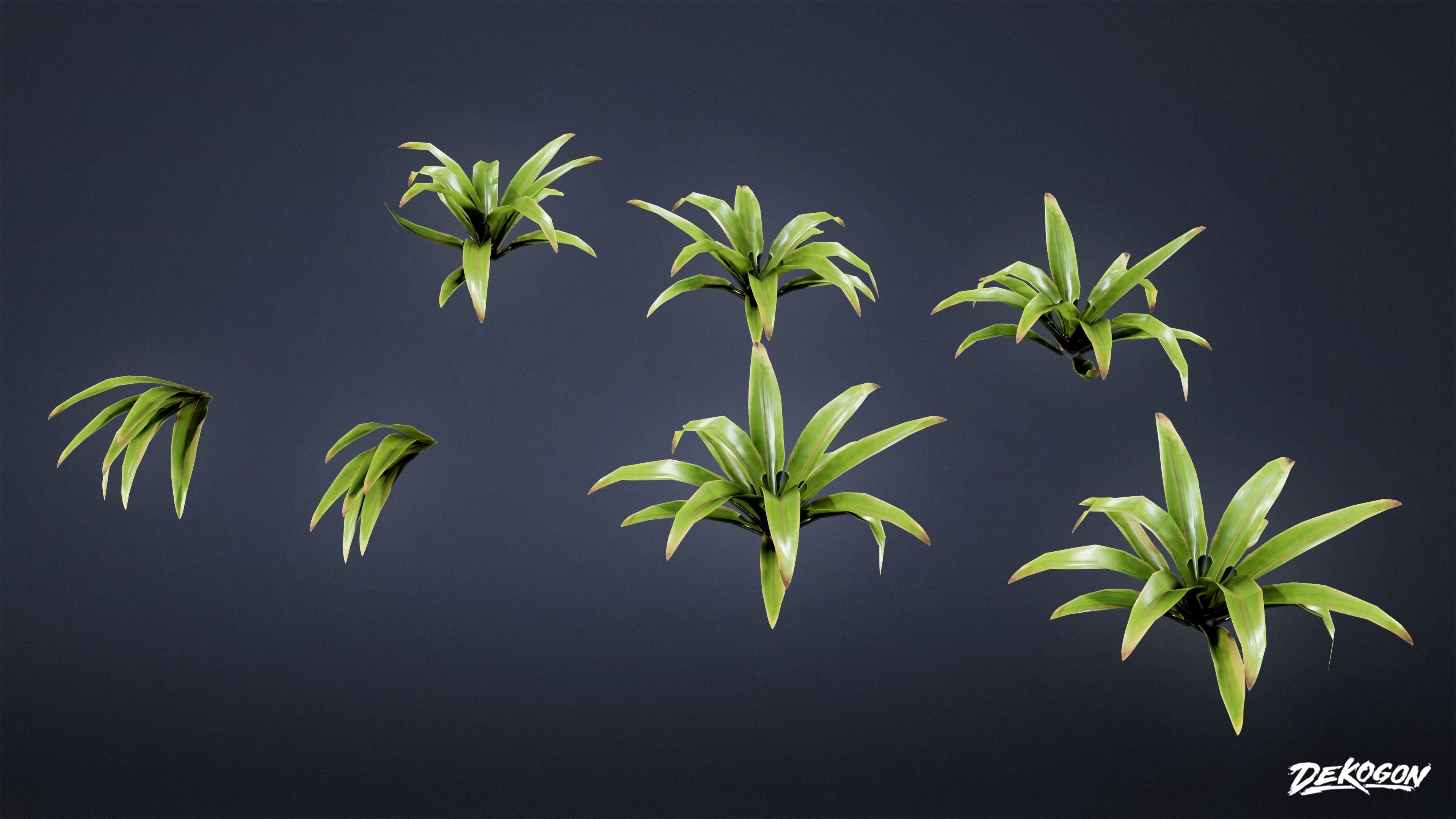 TROPICAL FOLIAGE - Small Plants 01 - LOW POLY Low-poly 3D model_20