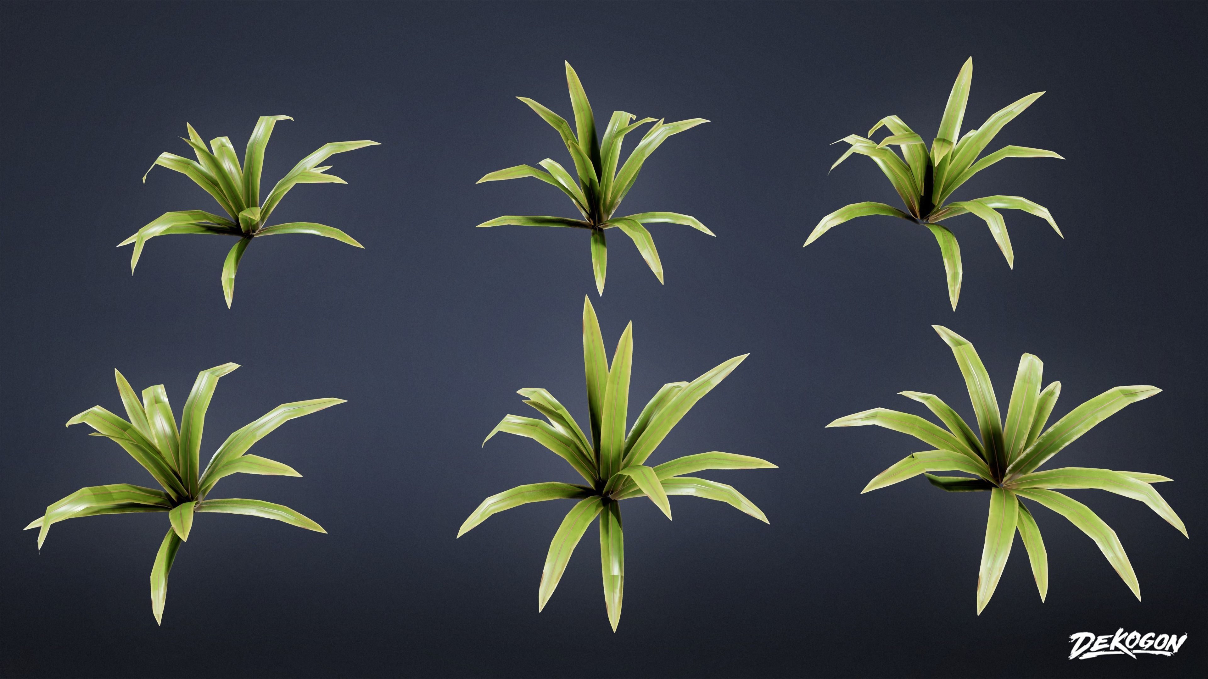 TROPICAL FOLIAGE - Small Plants 01 - LOW POLY Low-poly 3D model_10