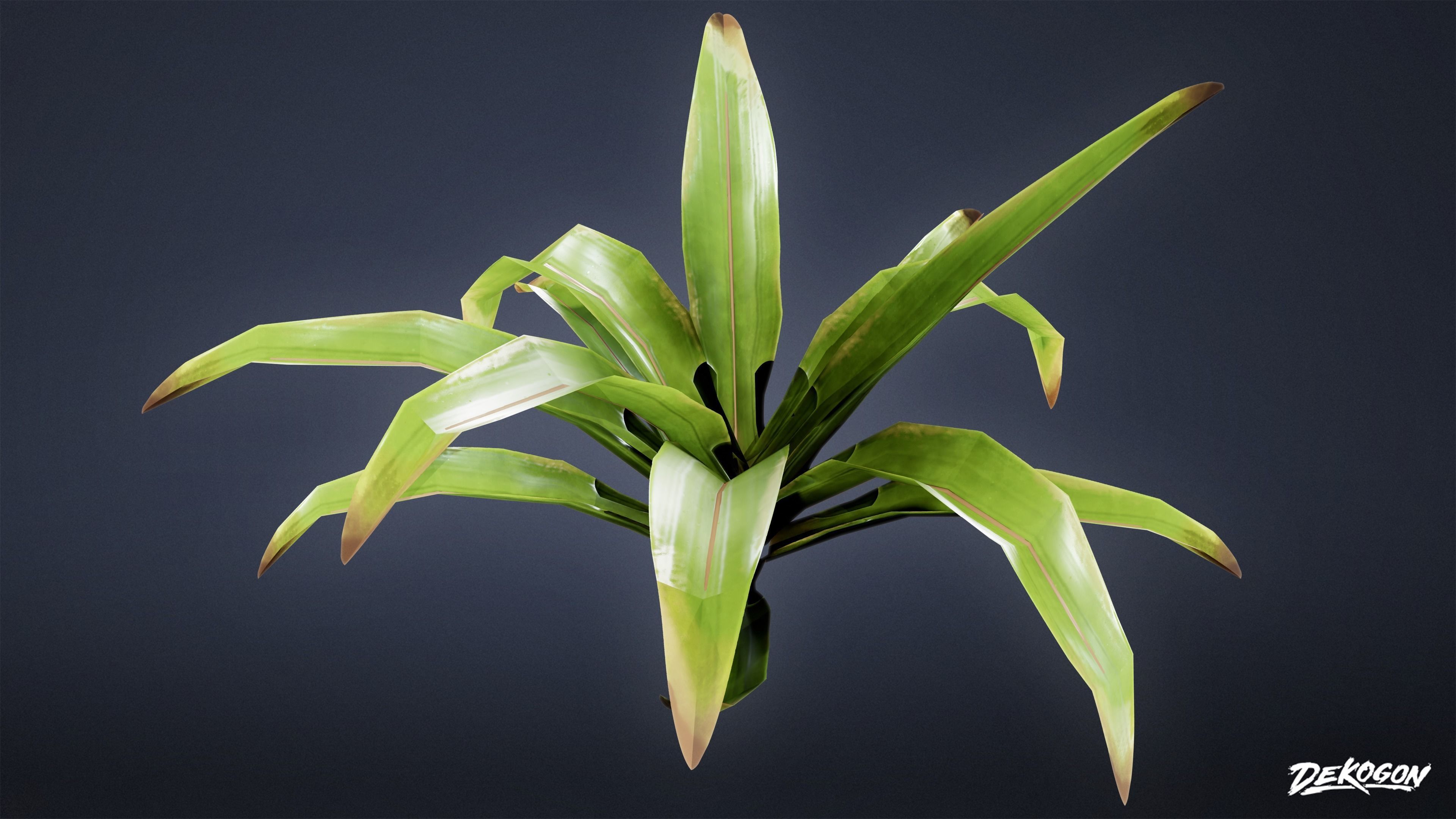 TROPICAL FOLIAGE - Small Plants 01 - LOW POLY Low-poly 3D model_24