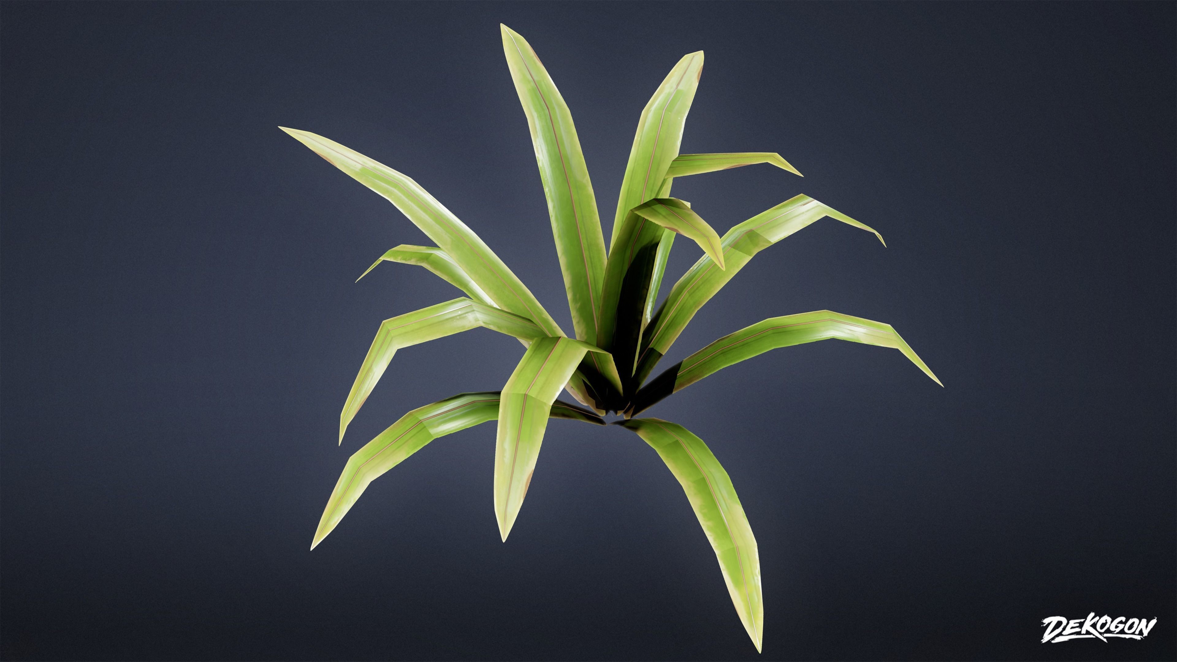 TROPICAL FOLIAGE - Small Plants 01 - LOW POLY Low-poly 3D model_14