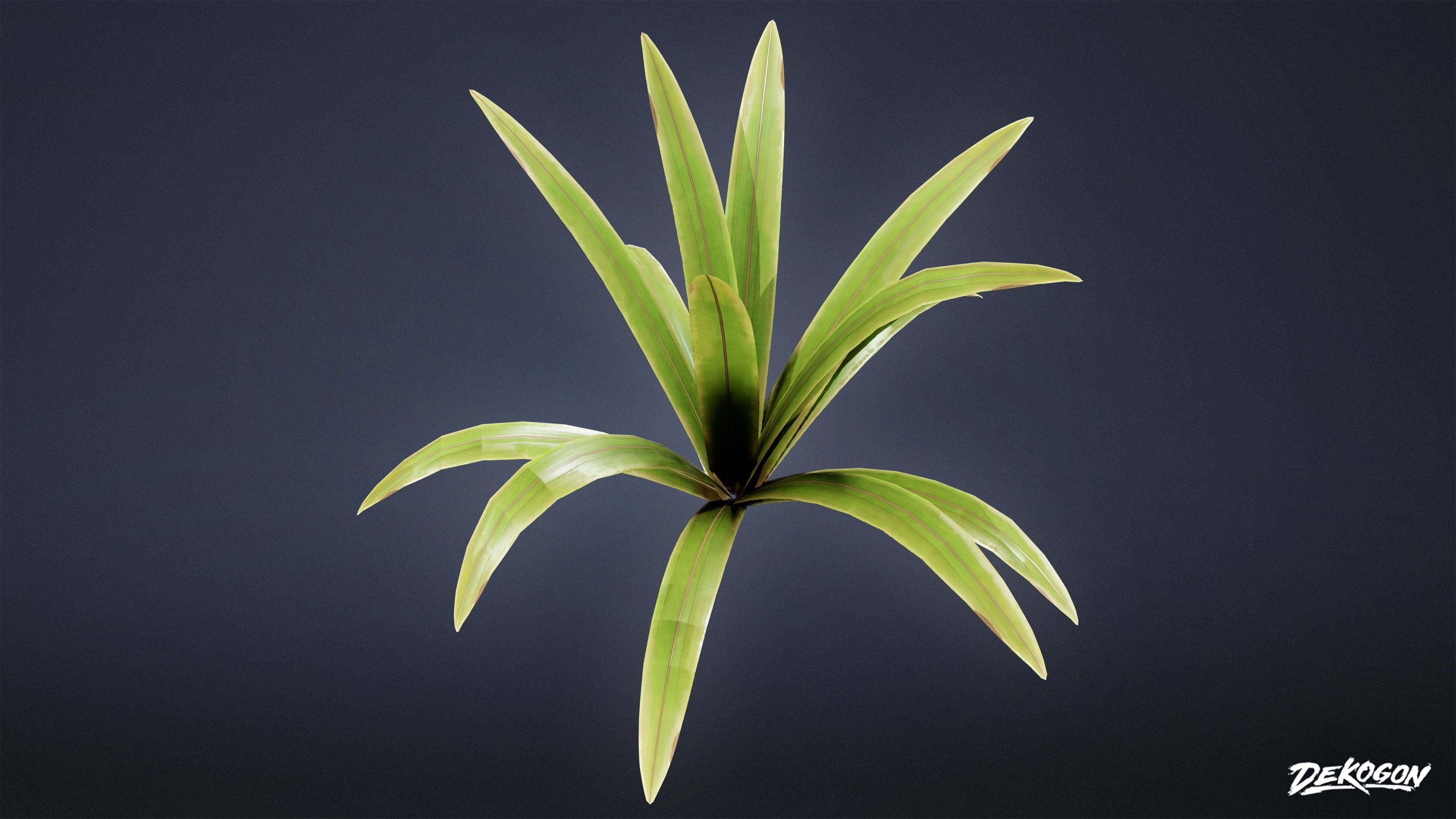 TROPICAL FOLIAGE - Small Plants 01 - LOW POLY Low-poly 3D model_18