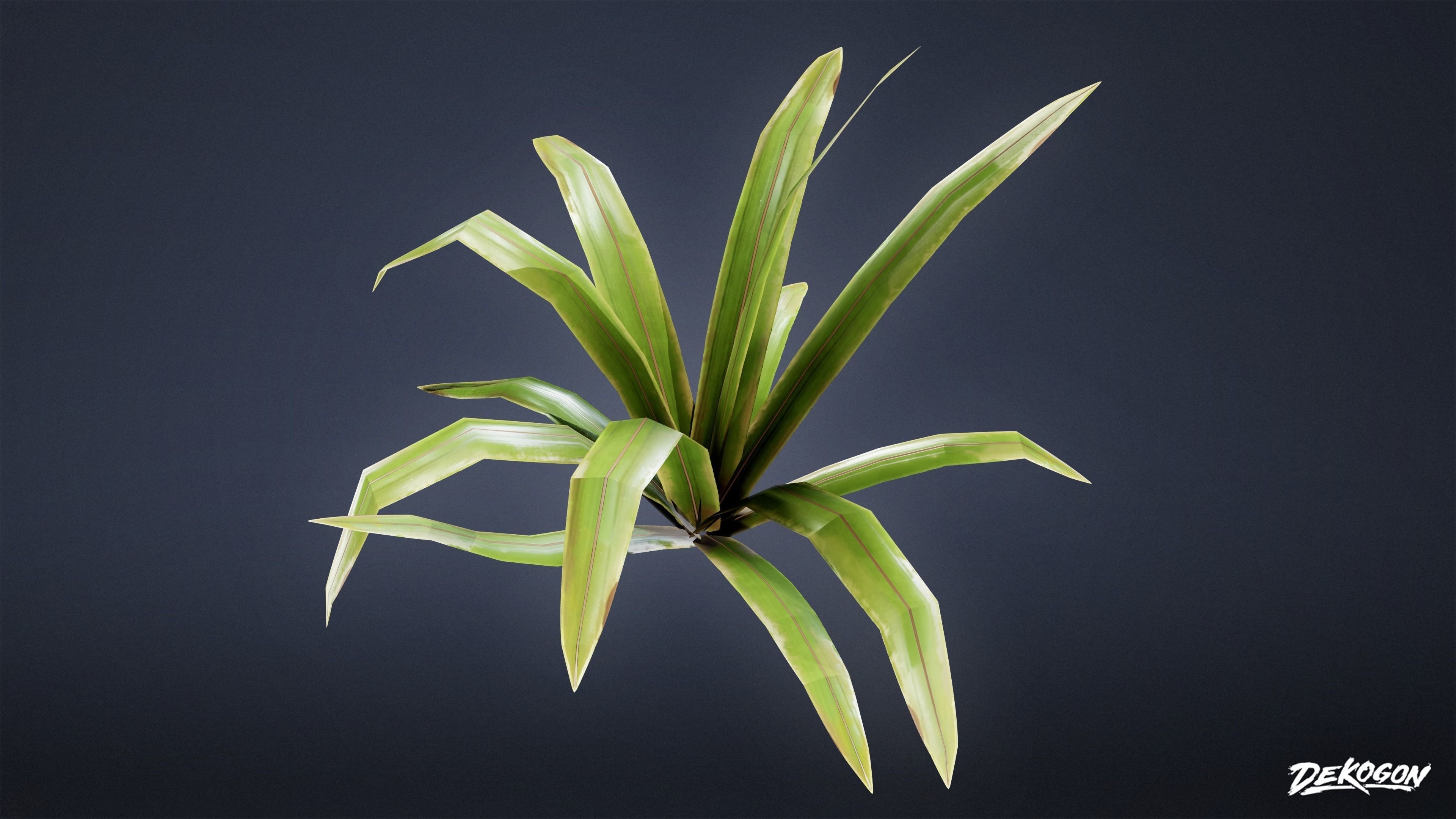 TROPICAL FOLIAGE - Small Plants 01 - LOW POLY Low-poly 3D model_16