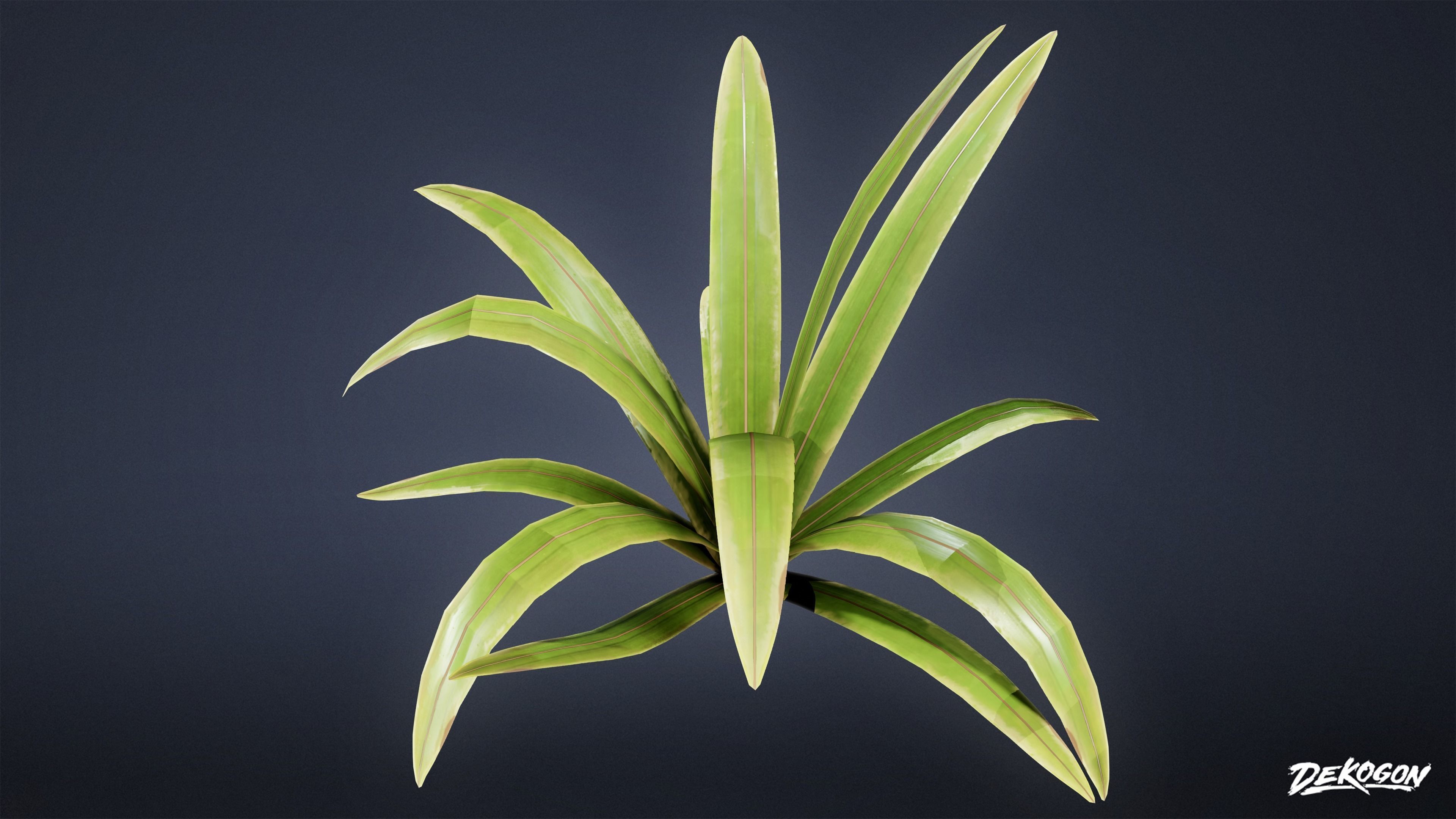TROPICAL FOLIAGE - Small Plants 01 - LOW POLY Low-poly 3D model_19