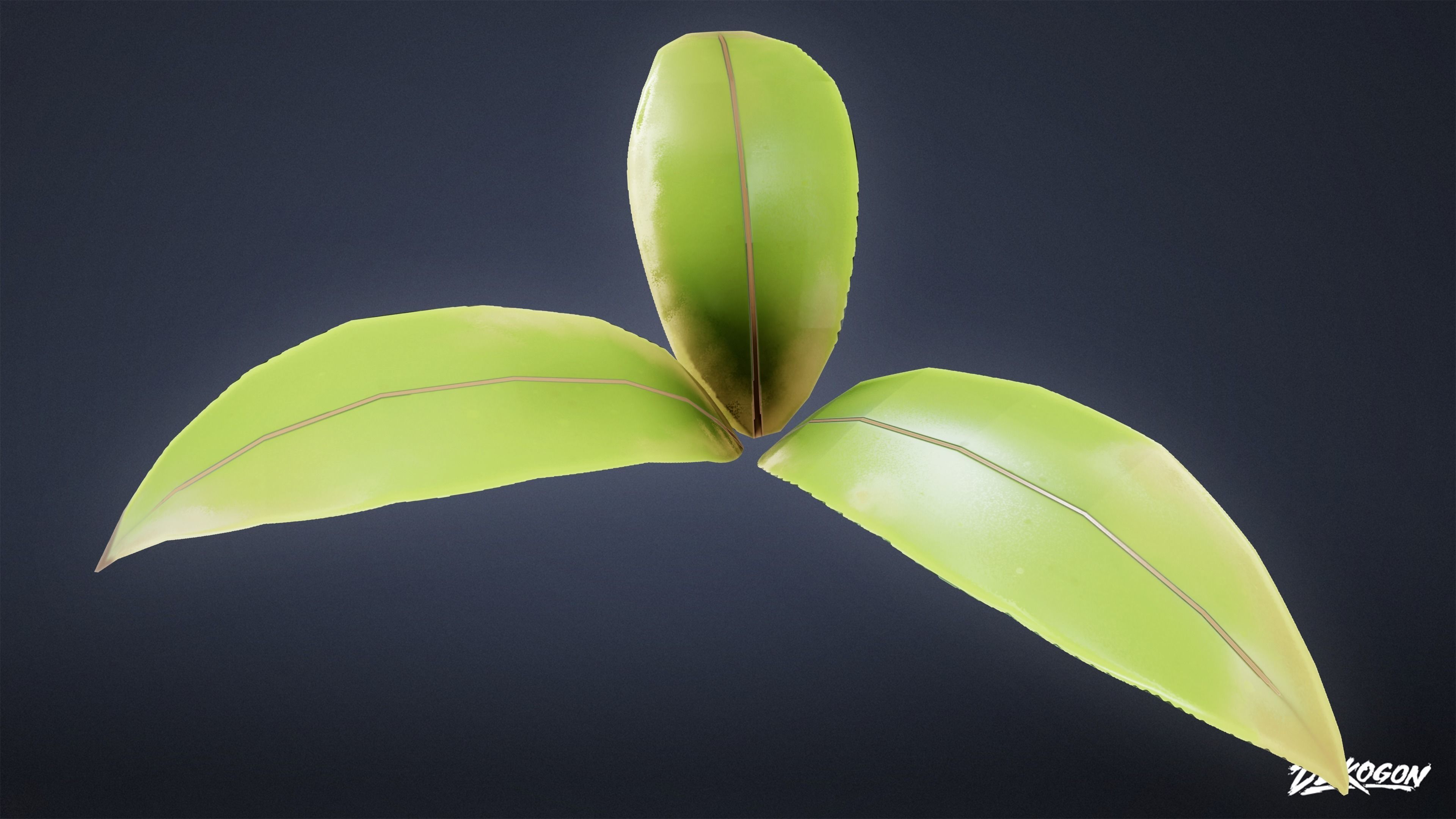 TROPICAL FOLIAGE - Small Plants 01 - LOW POLY Low-poly 3D model_8