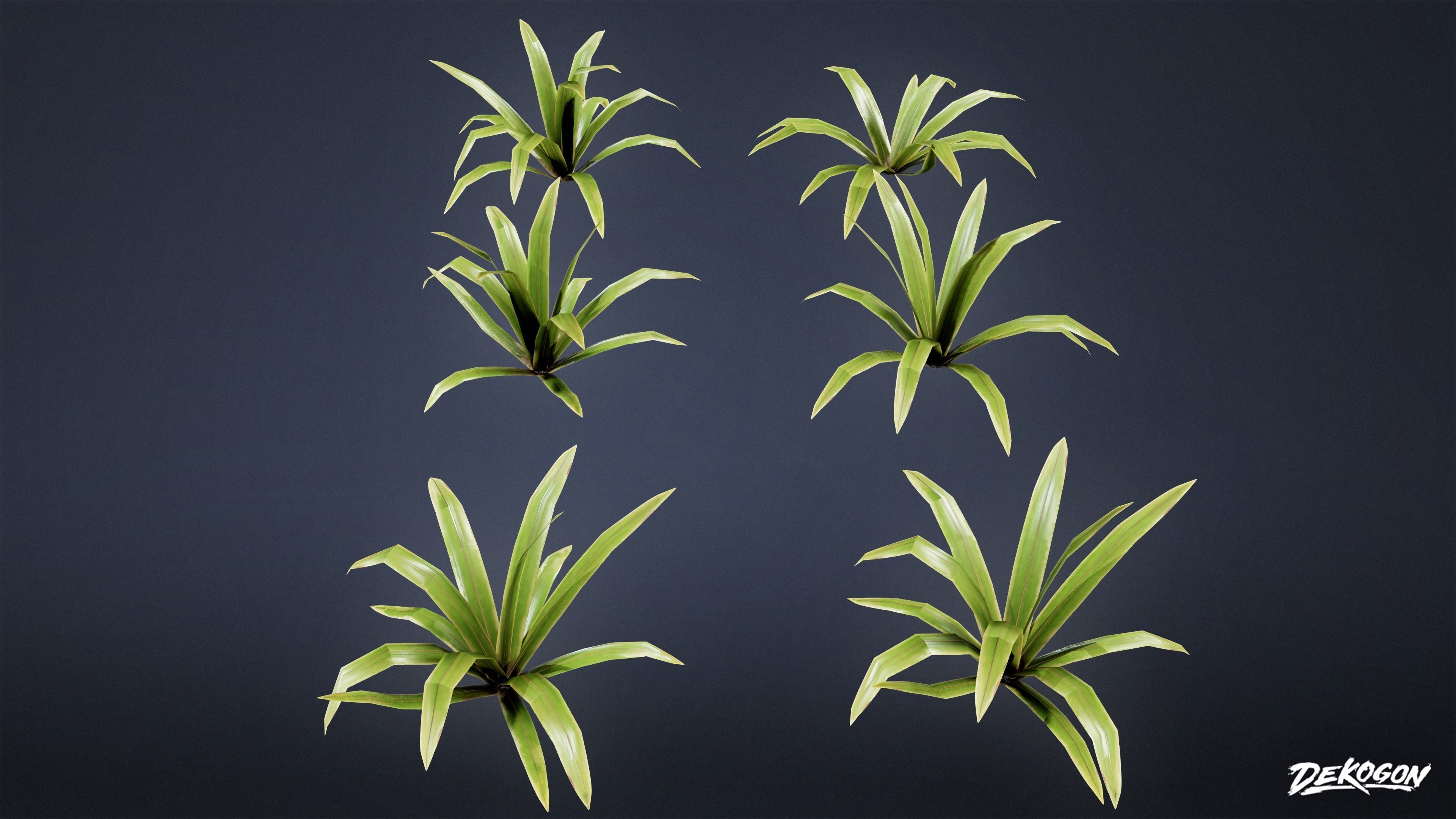 TROPICAL FOLIAGE - Small Plants 01 - LOW POLY Low-poly 3D model_13