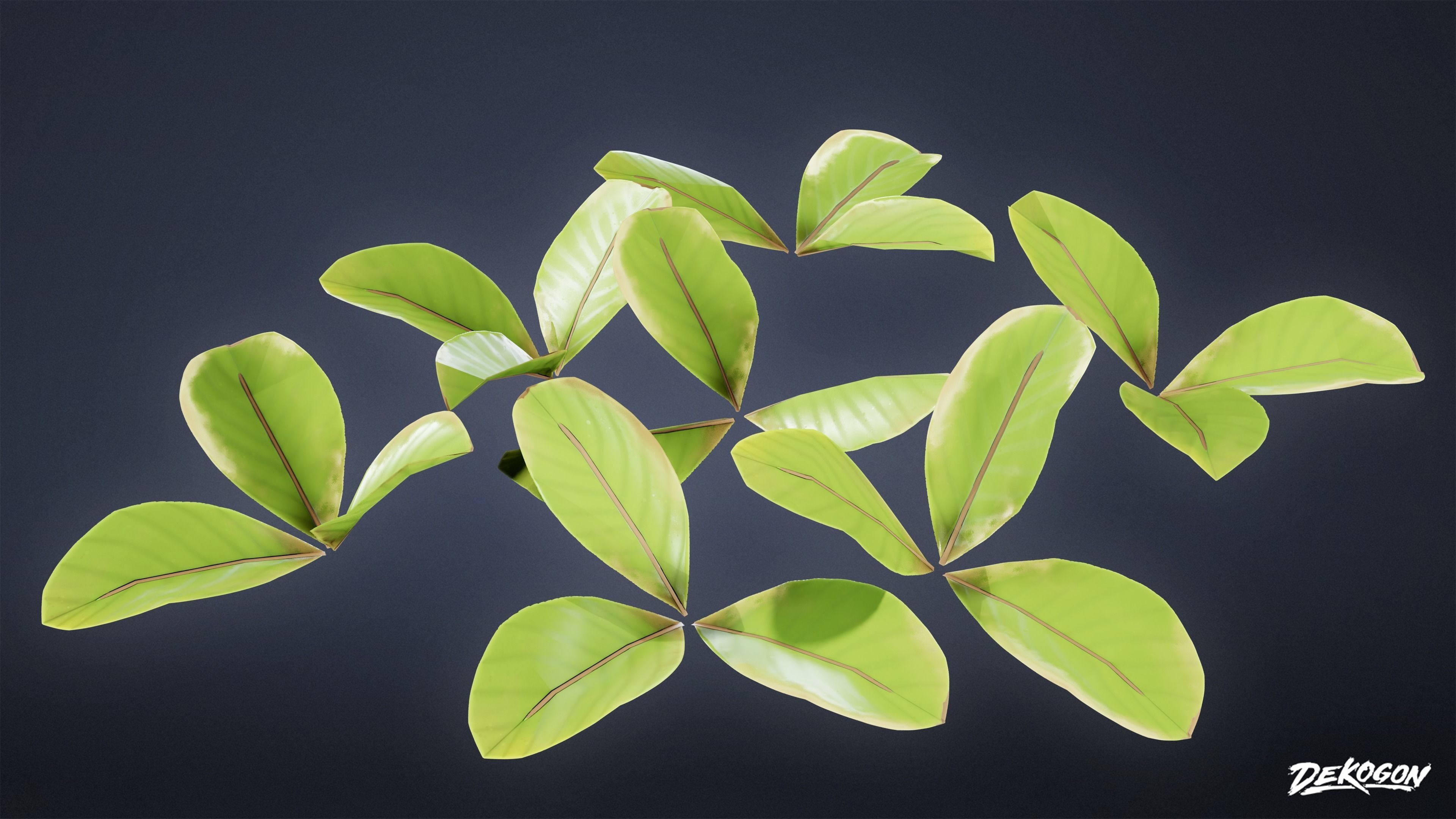 TROPICAL FOLIAGE - Small Plants 01 - LOW POLY Low-poly 3D model_35