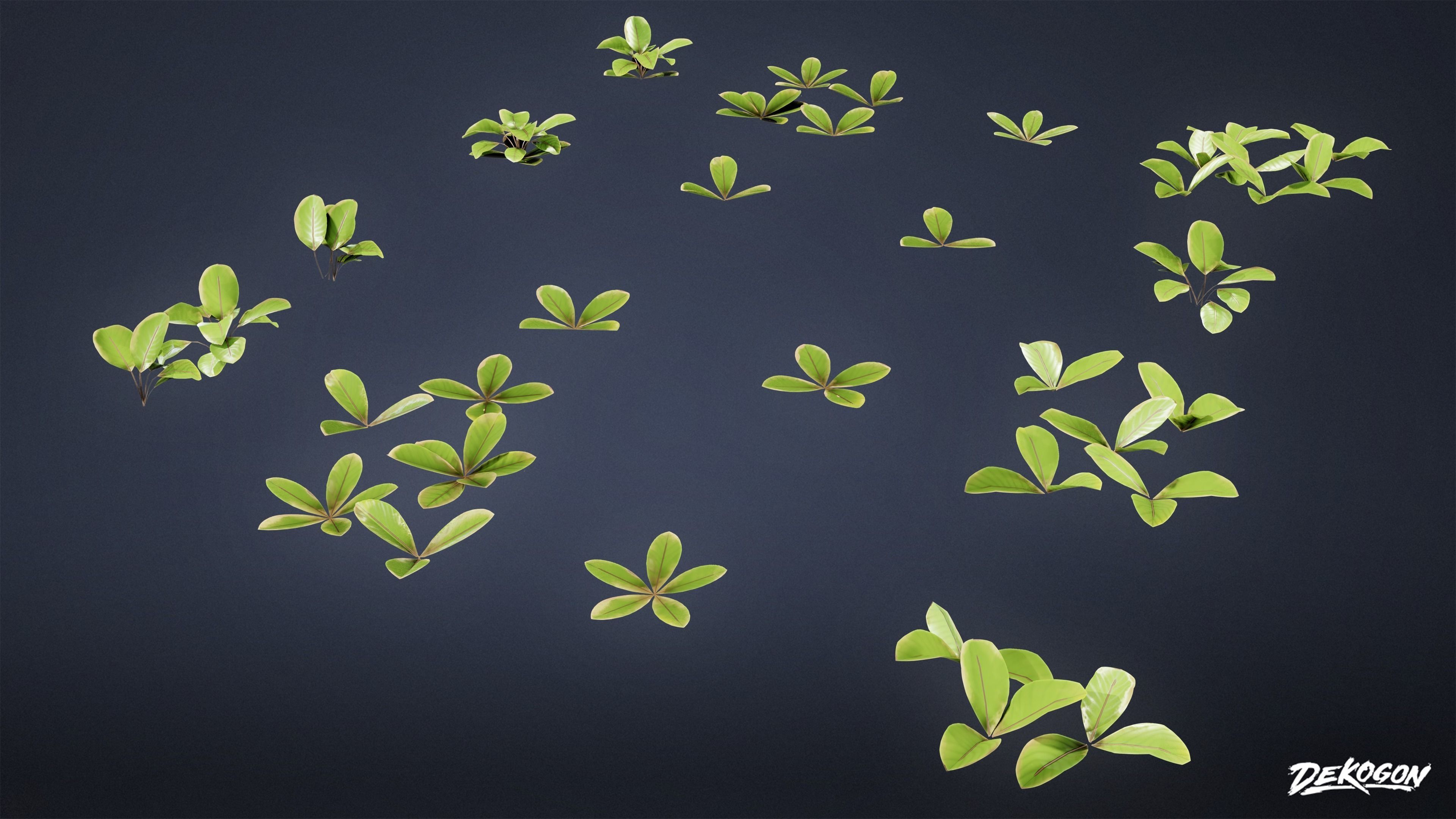 TROPICAL FOLIAGE - Small Plants 01 - LOW POLY Low-poly 3D model_33