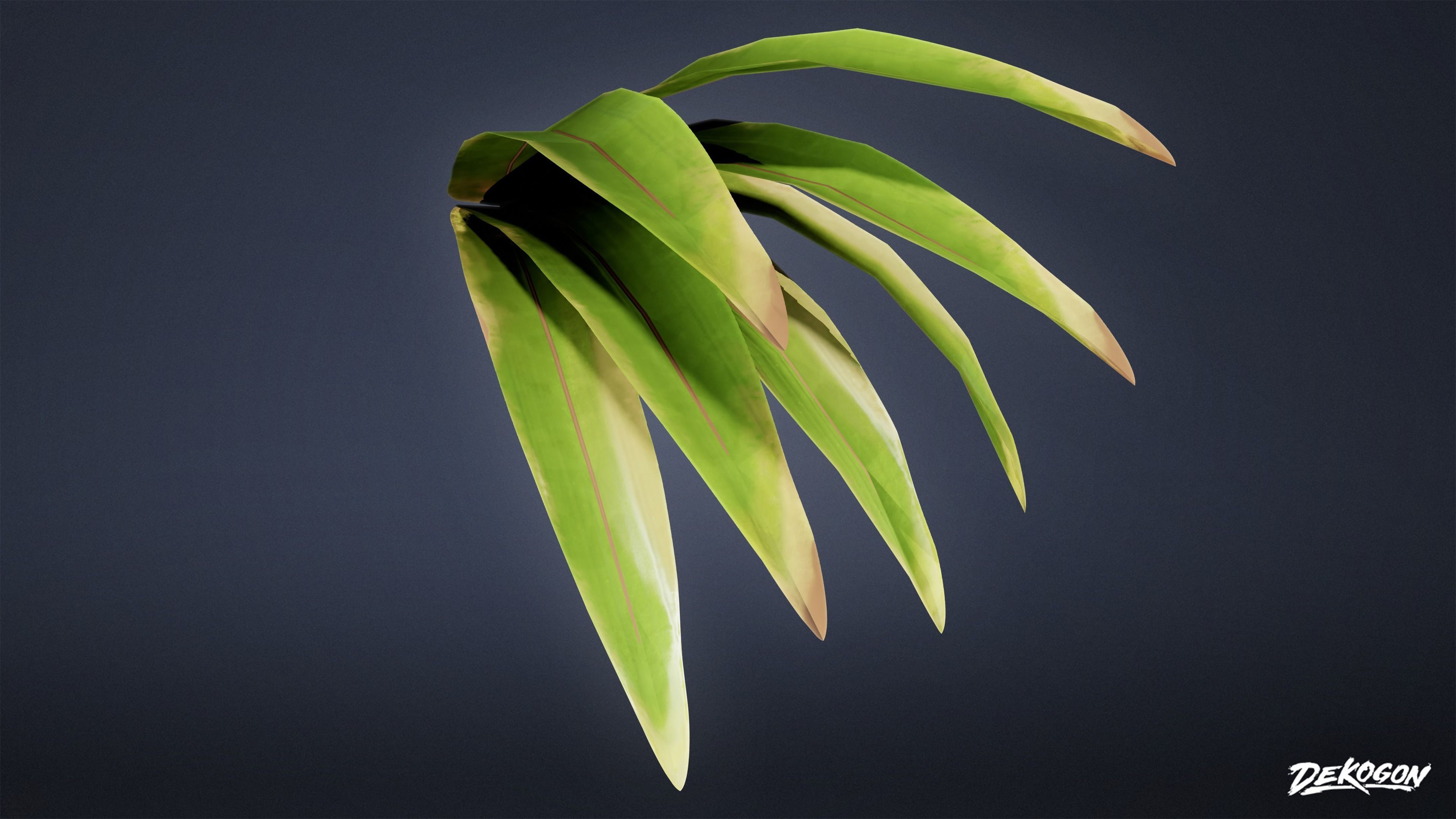 TROPICAL FOLIAGE - Small Plants 01 - LOW POLY Low-poly 3D model_29