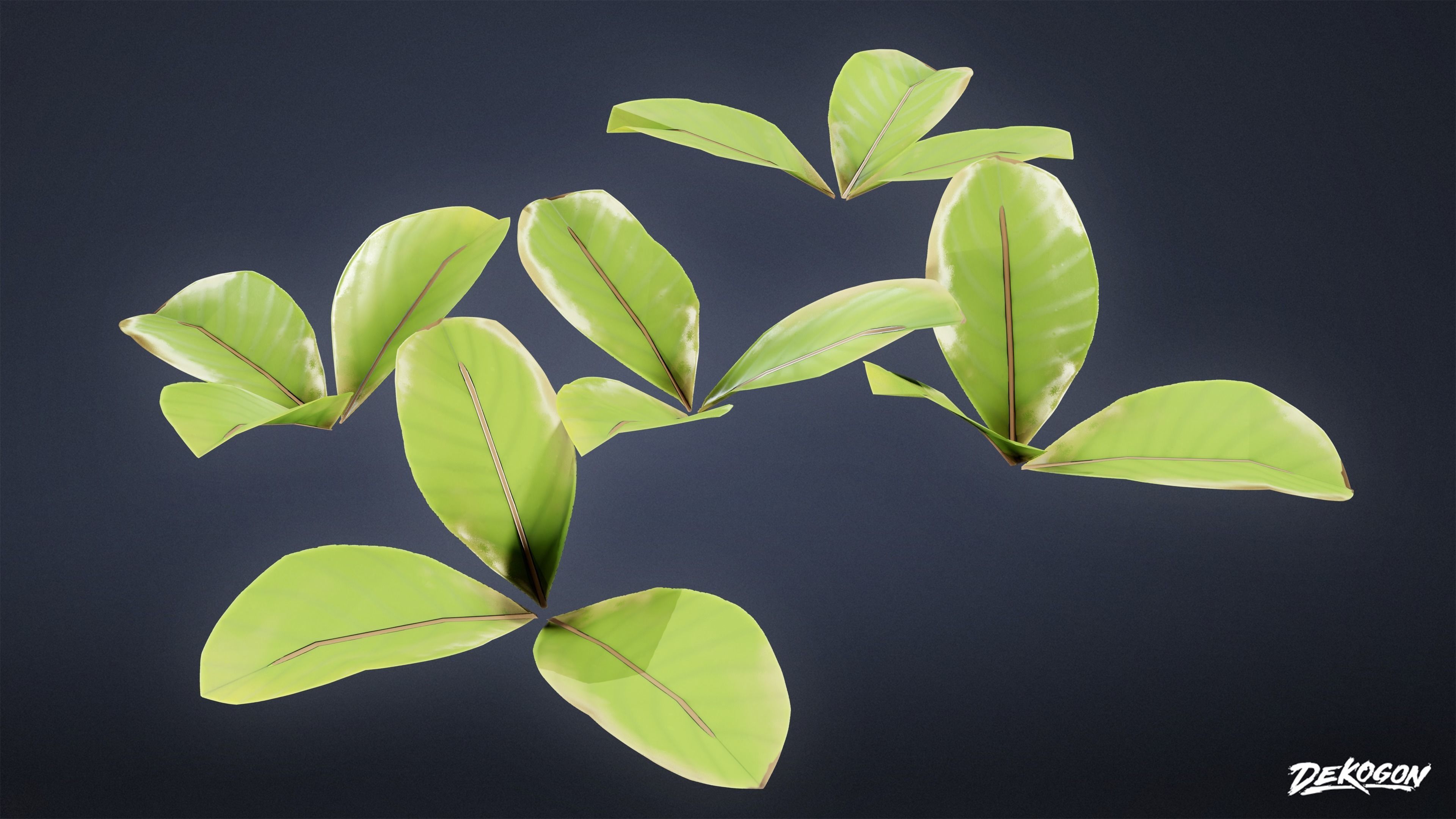 TROPICAL FOLIAGE - Small Plants 01 - LOW POLY Low-poly 3D model_37