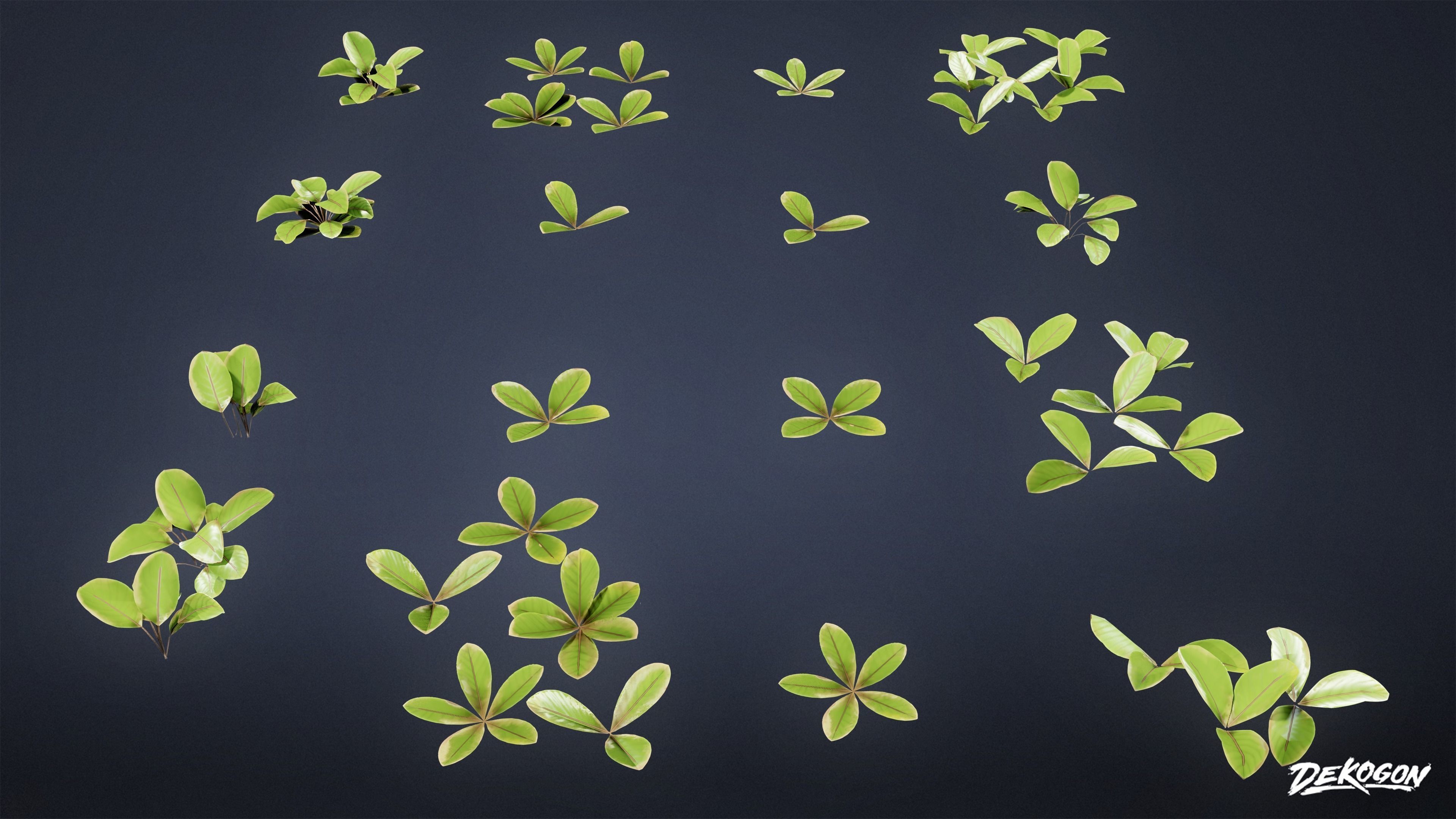 TROPICAL FOLIAGE - Small Plants 01 - LOW POLY Low-poly 3D model_34