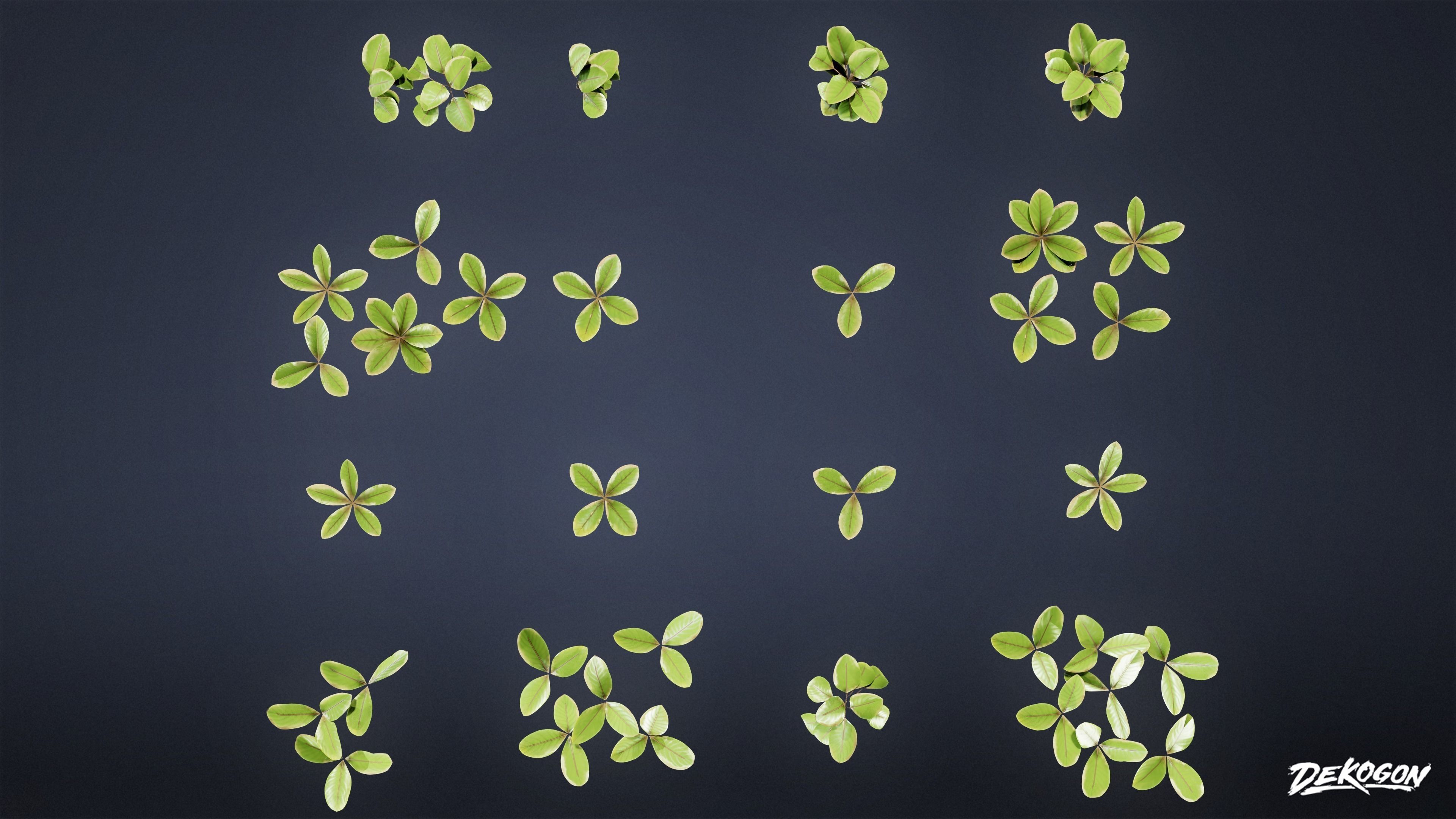 TROPICAL FOLIAGE - Small Plants 01 - LOW POLY Low-poly 3D model_32