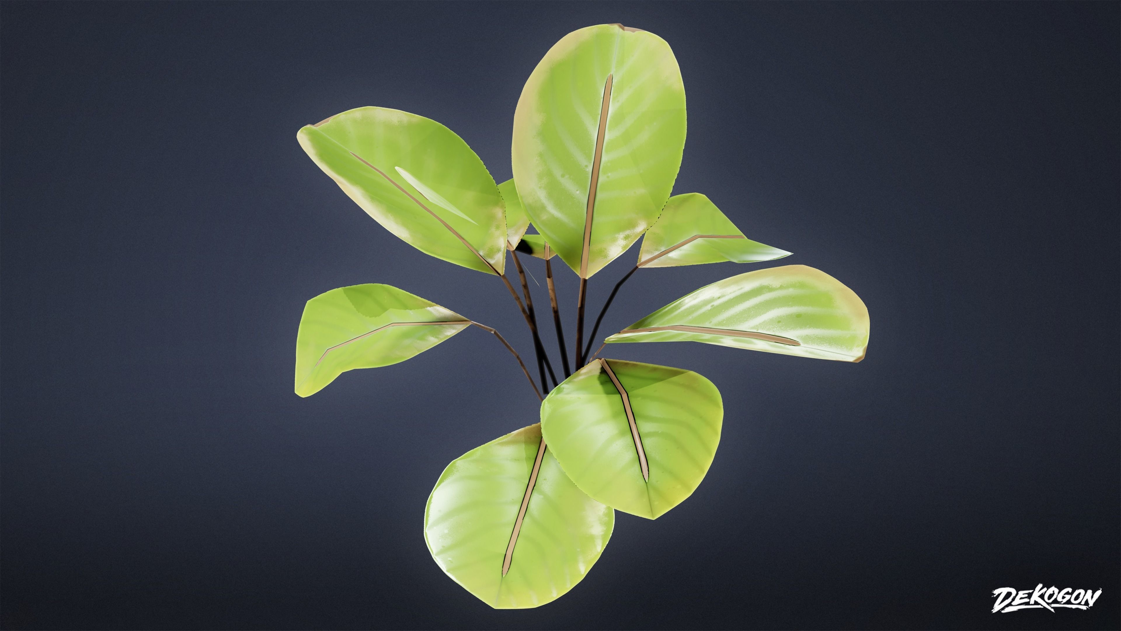 TROPICAL FOLIAGE - Small Plants 01 - LOW POLY Low-poly 3D model_36