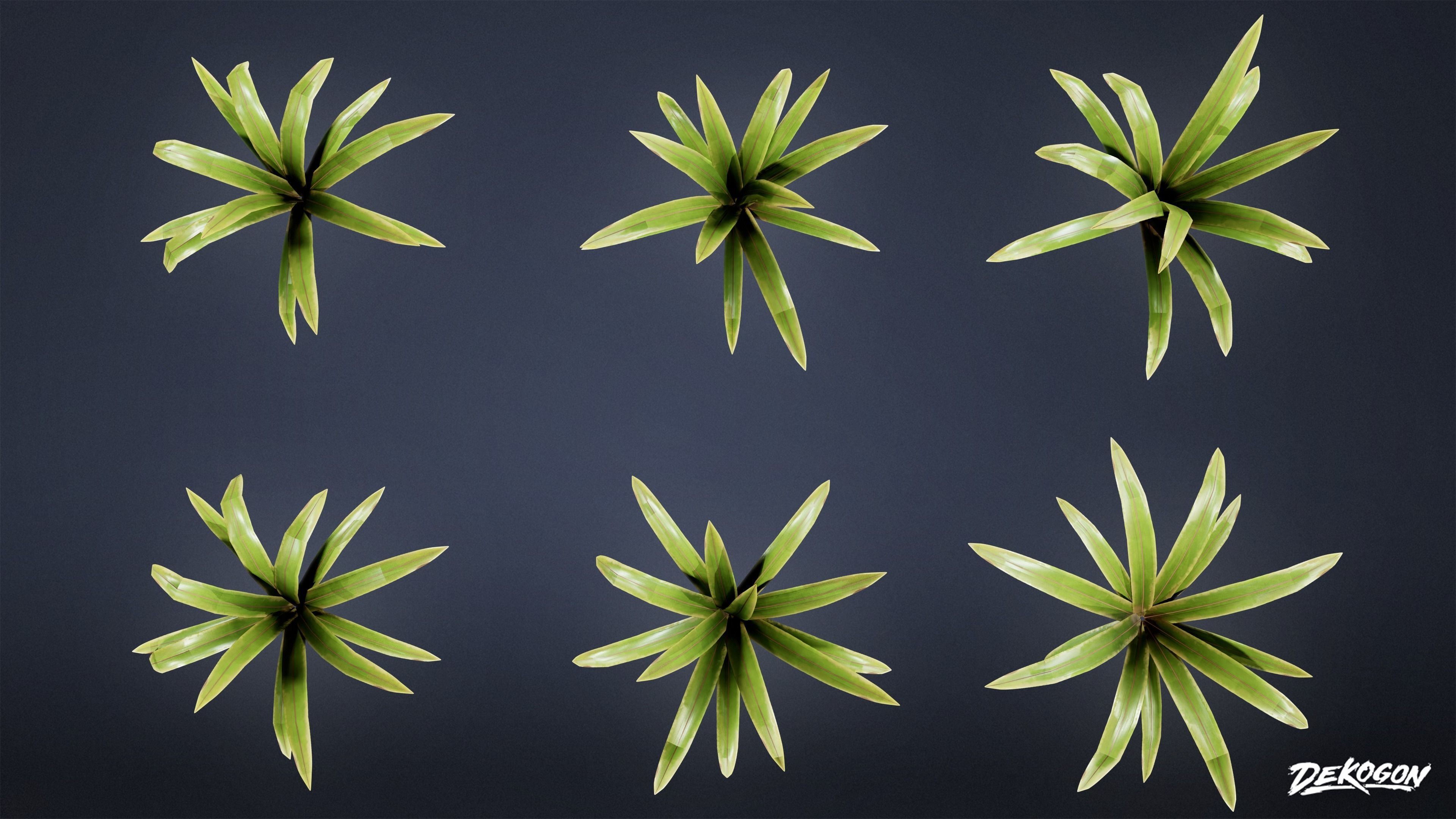 TROPICAL FOLIAGE - Small Plants 01 - LOW POLY Low-poly 3D model_12