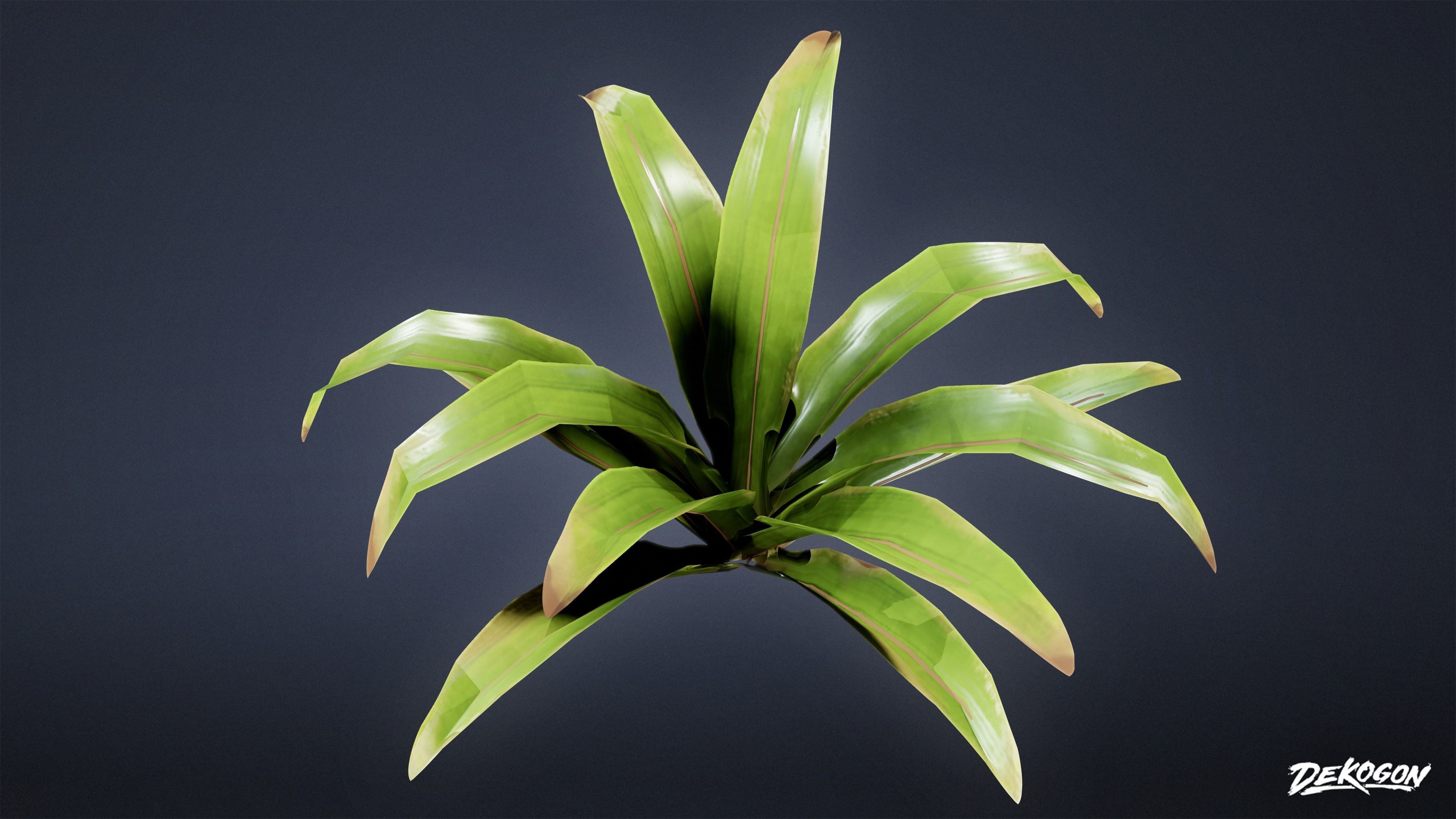 TROPICAL FOLIAGE - Small Plants 01 - LOW POLY Low-poly 3D model_27