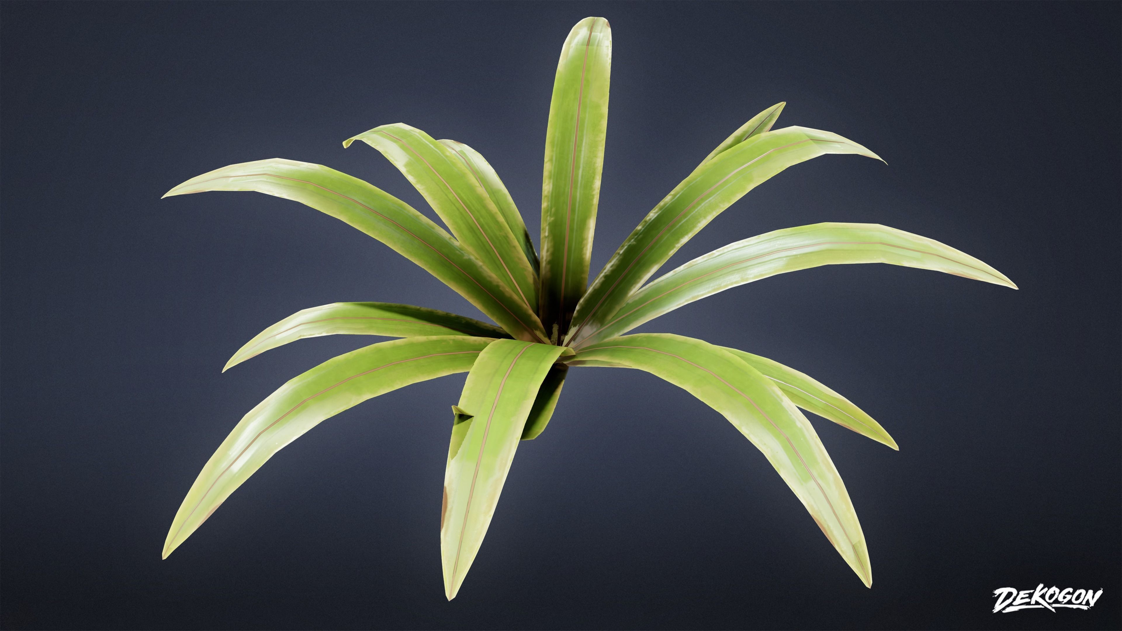 TROPICAL FOLIAGE - Small Plants 01 - LOW POLY Low-poly 3D model_17