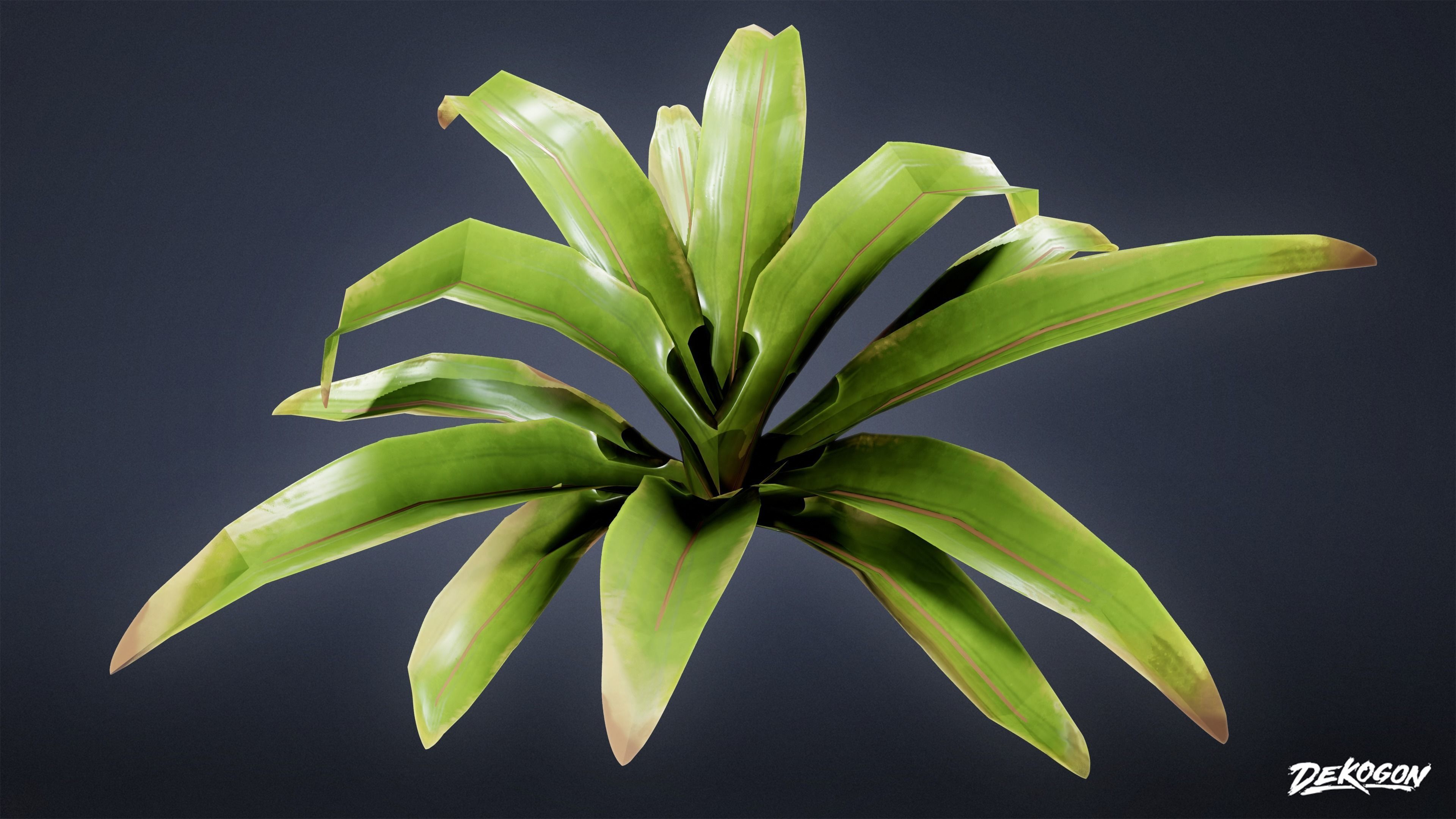 TROPICAL FOLIAGE - Small Plants 01 - LOW POLY Low-poly 3D model_28