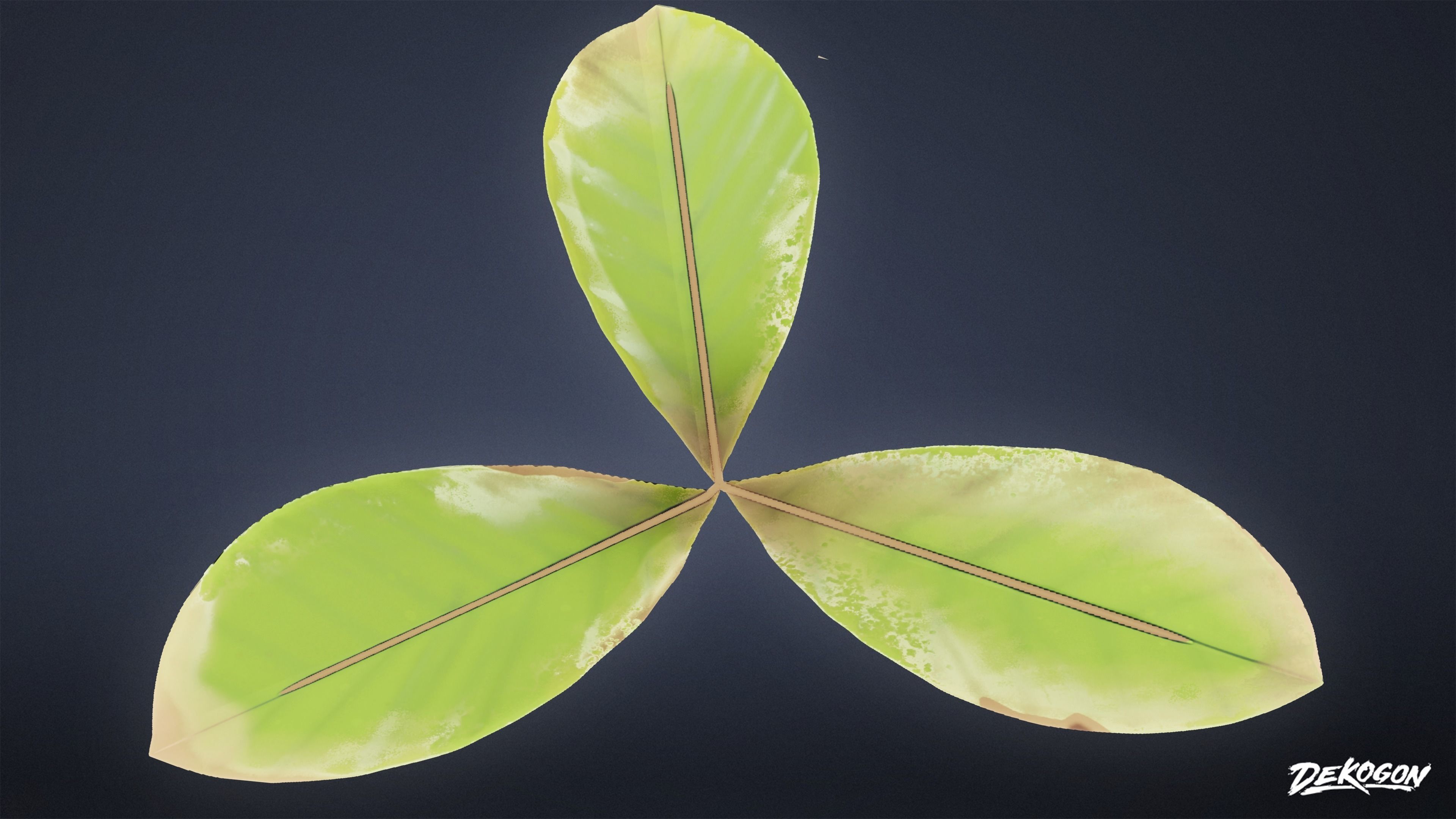 TROPICAL FOLIAGE - Small Plants 01 - LOW POLY Low-poly 3D model_38