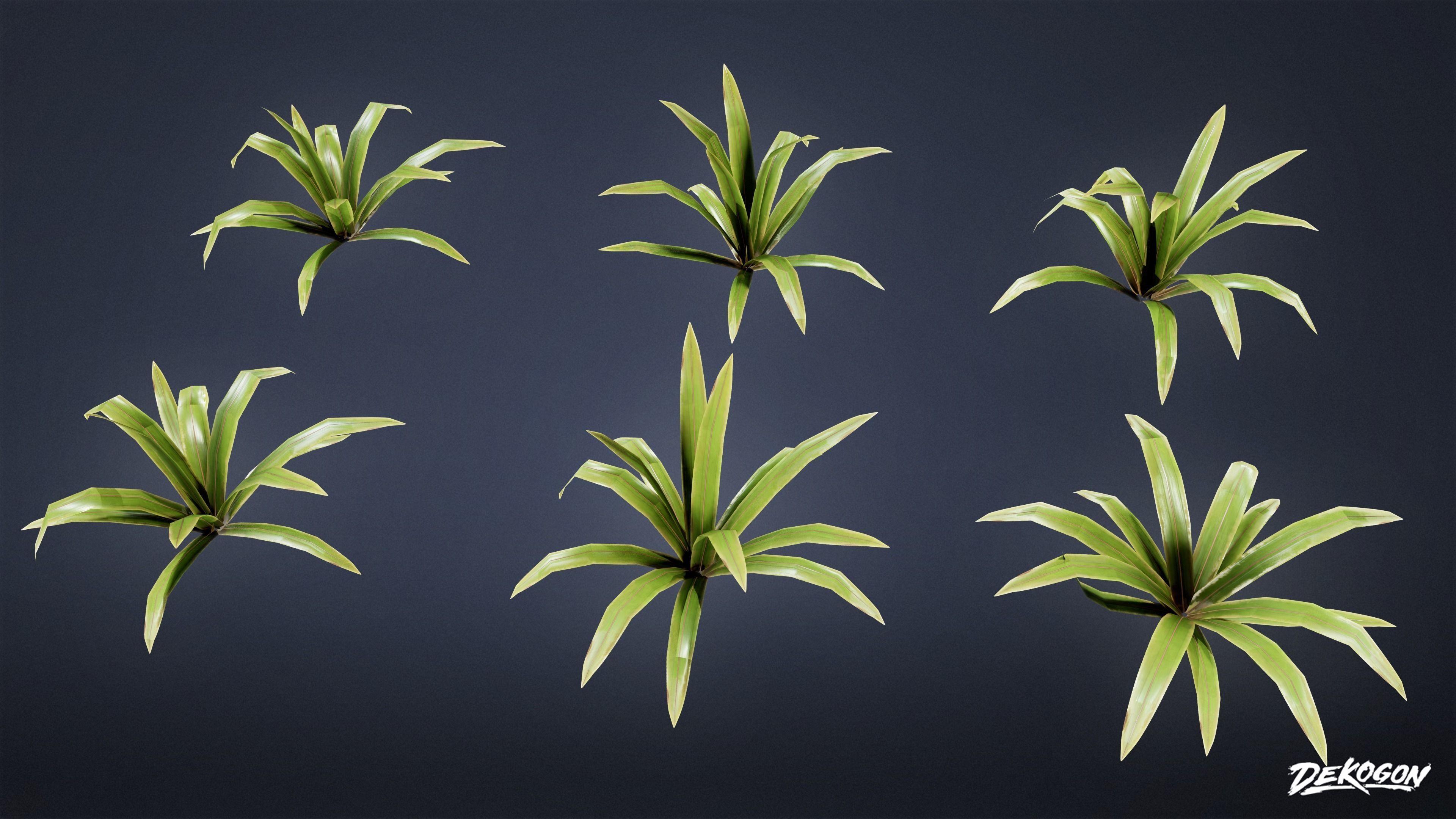 TROPICAL FOLIAGE - Small Plants 01 - LOW POLY Low-poly 3D model_9