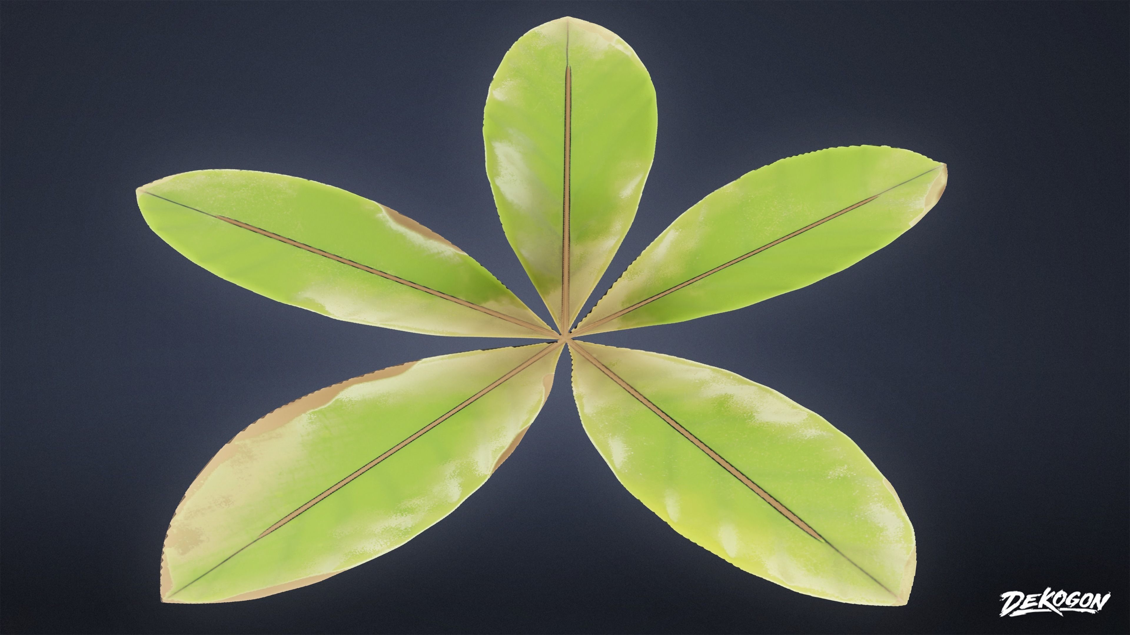 TROPICAL FOLIAGE - Small Plants 01 - LOW POLY Low-poly 3D model_39