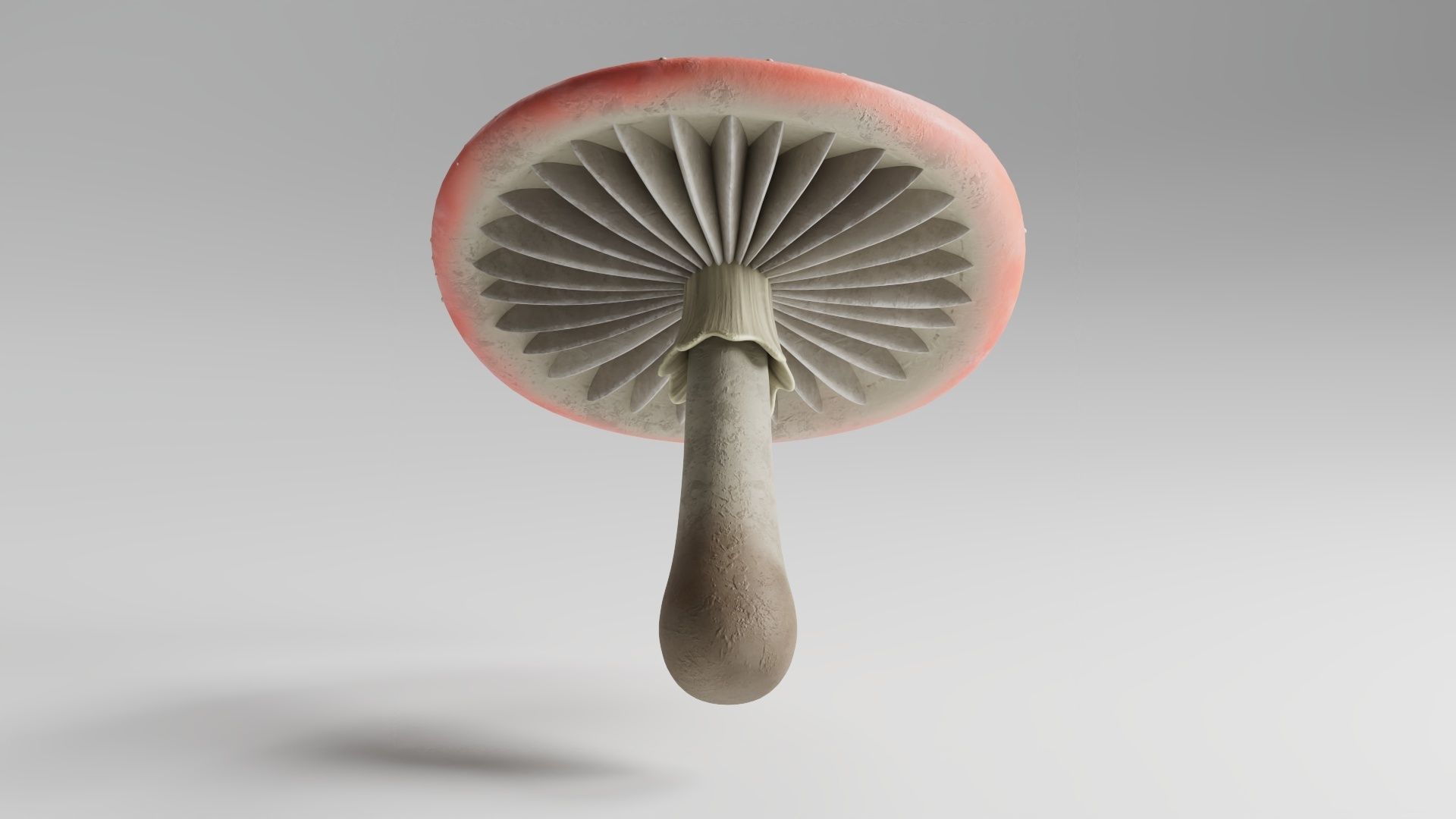 Mushroom red fly agaric Low-poly 3D model_3