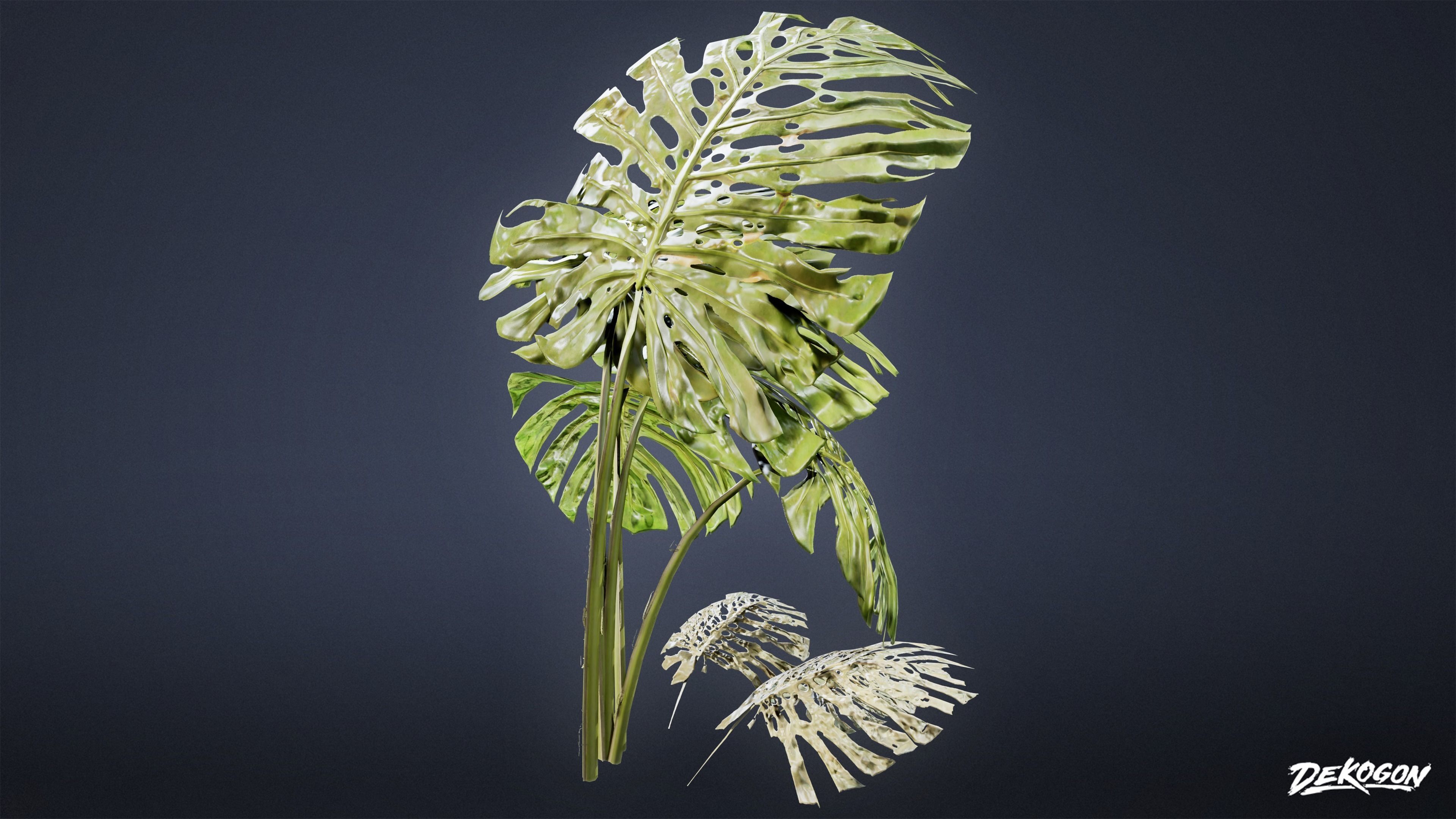 TROPICAL FOLIAGE - Swiss Cheese 01 - LOW POLY Low-poly 3D model_8