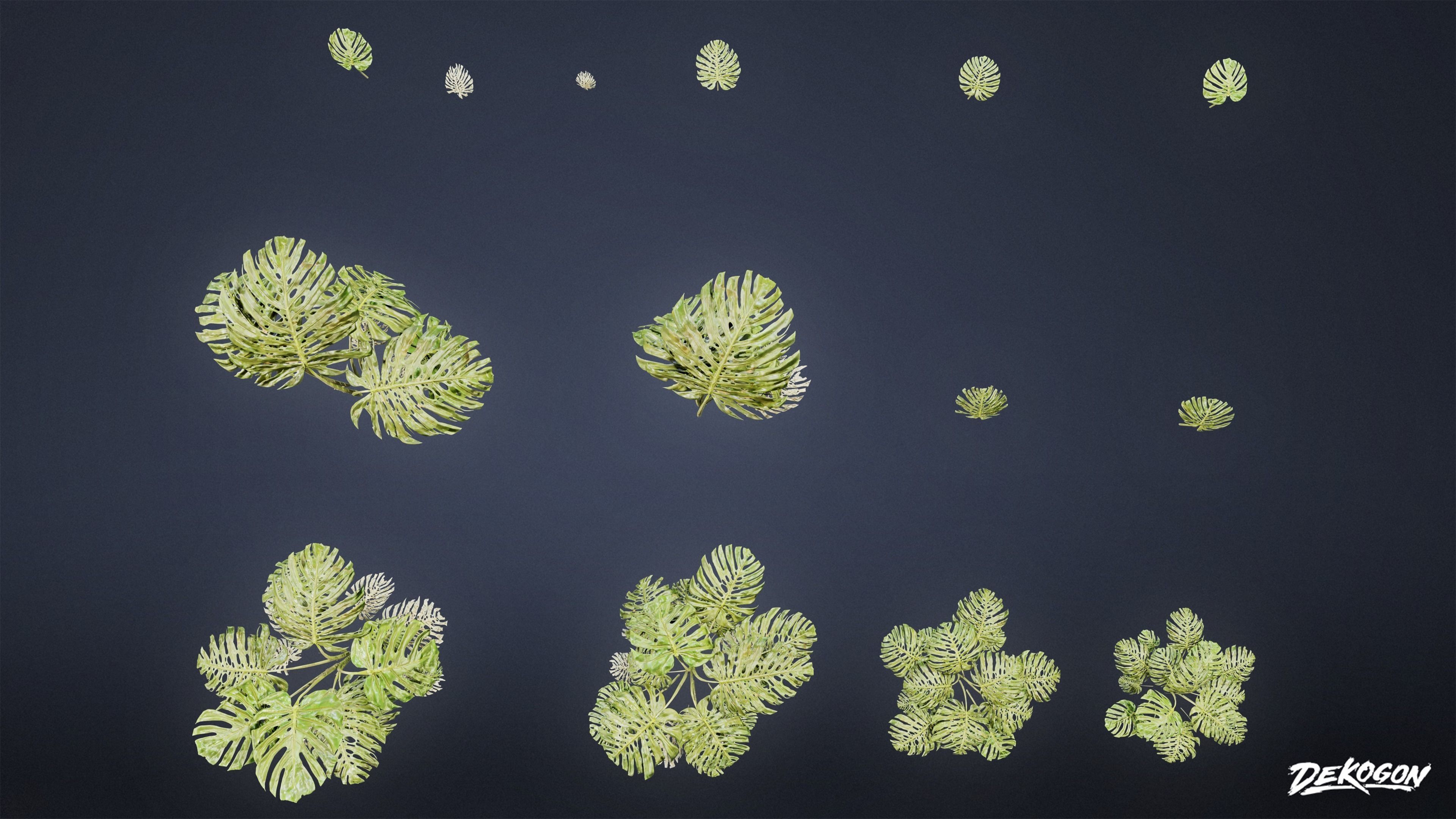 TROPICAL FOLIAGE - Swiss Cheese 01 - LOW POLY Low-poly 3D model_3